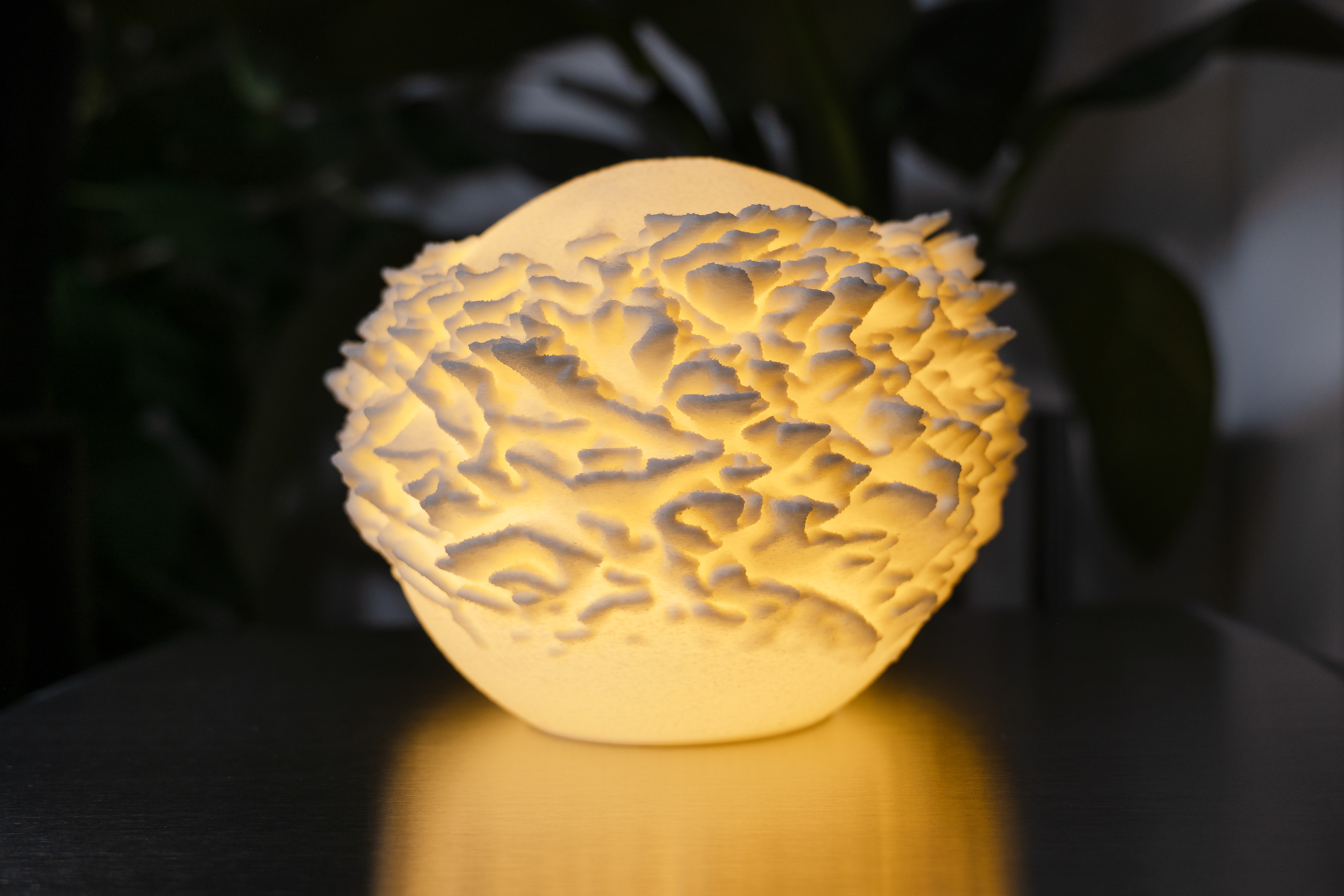 14 Plate Coral Sculpted Mini Lamp