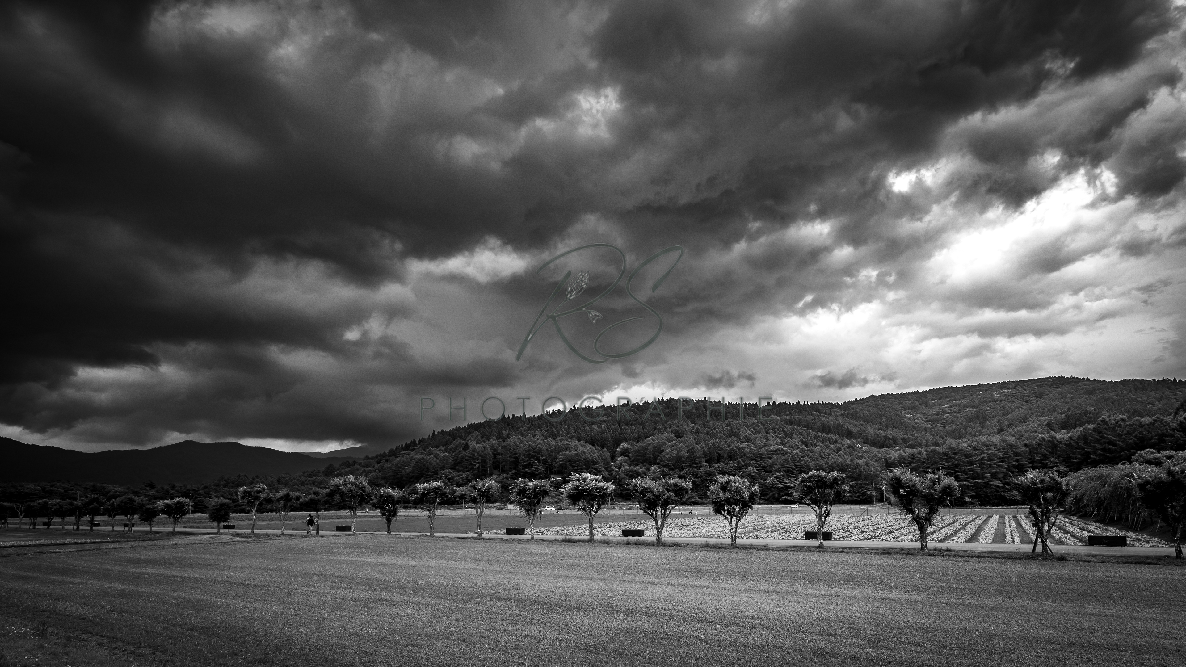 山梨県花の都公園