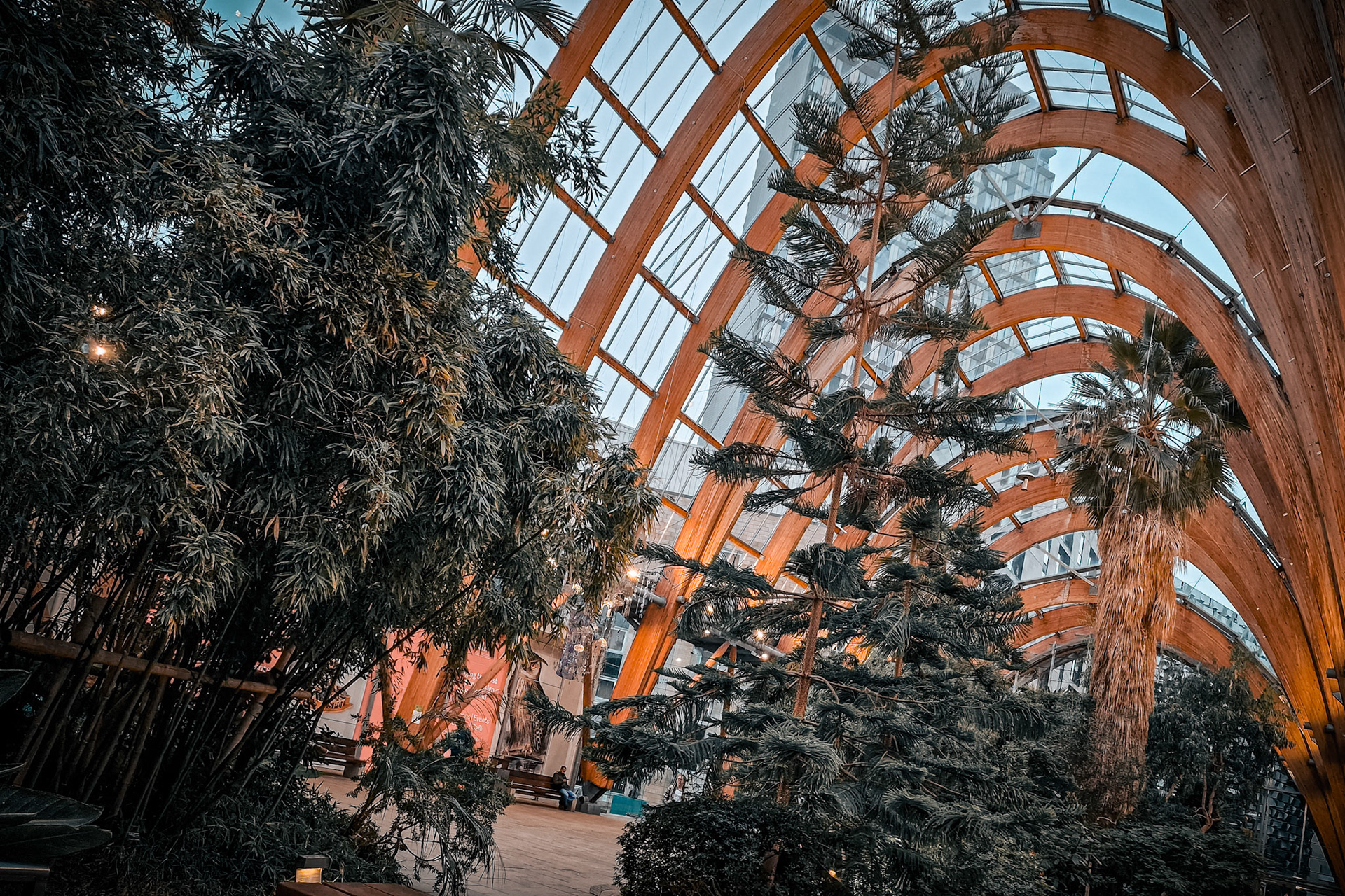 Winter Garden, Sheffield, UK