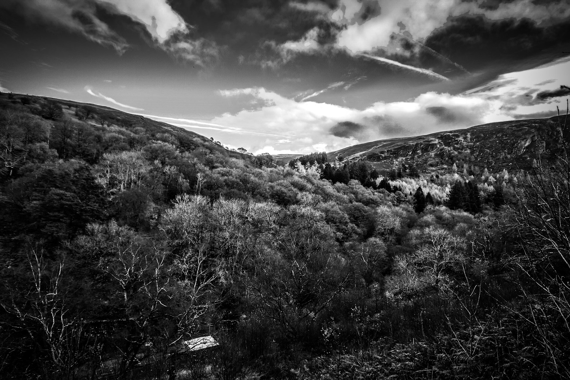 Dovedale Valley, Peak District, UK
