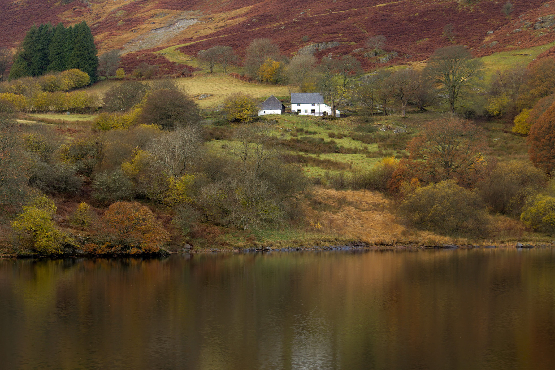 Ellan Valley, Wales