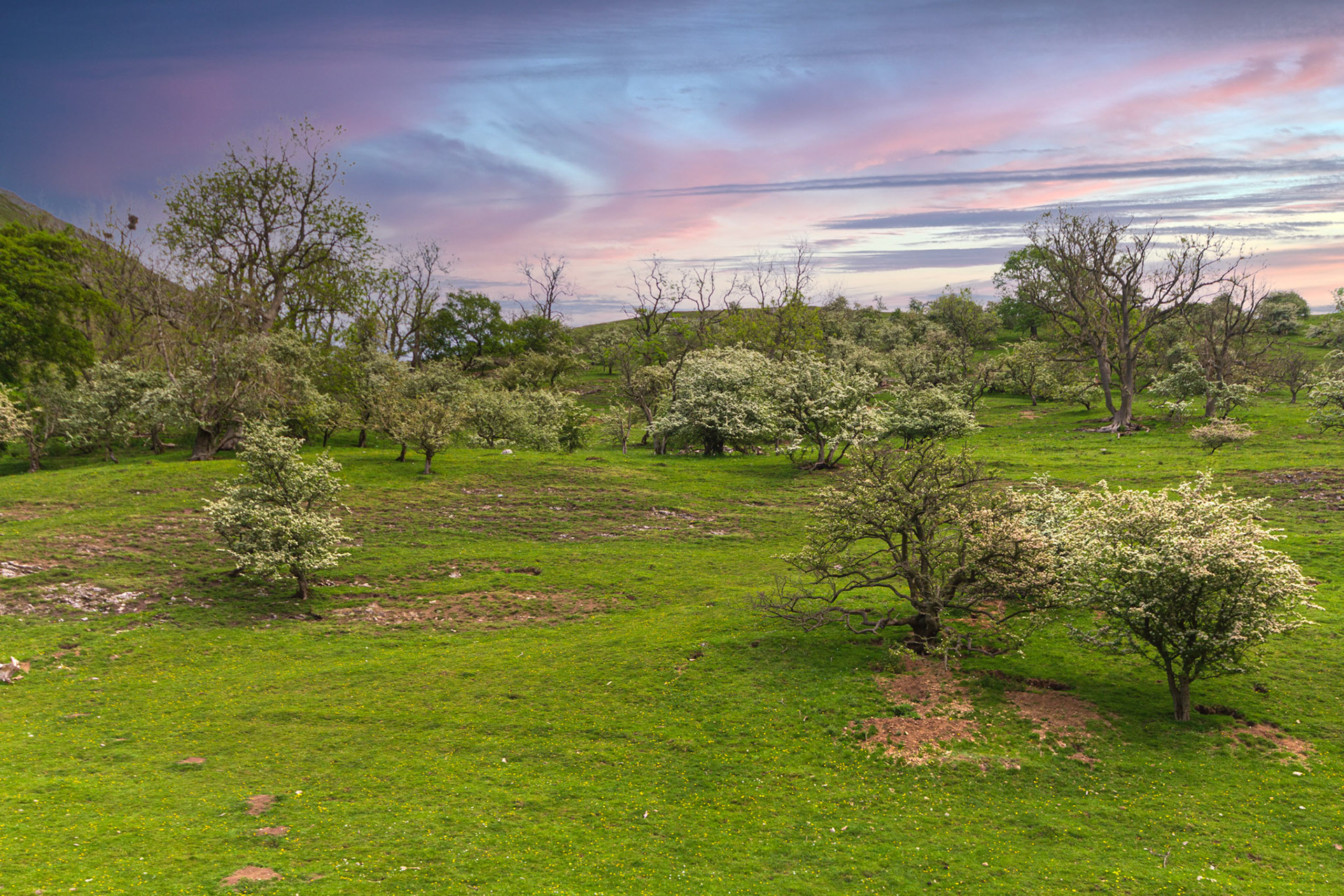 Dovedale Valley, Peak District, UK
