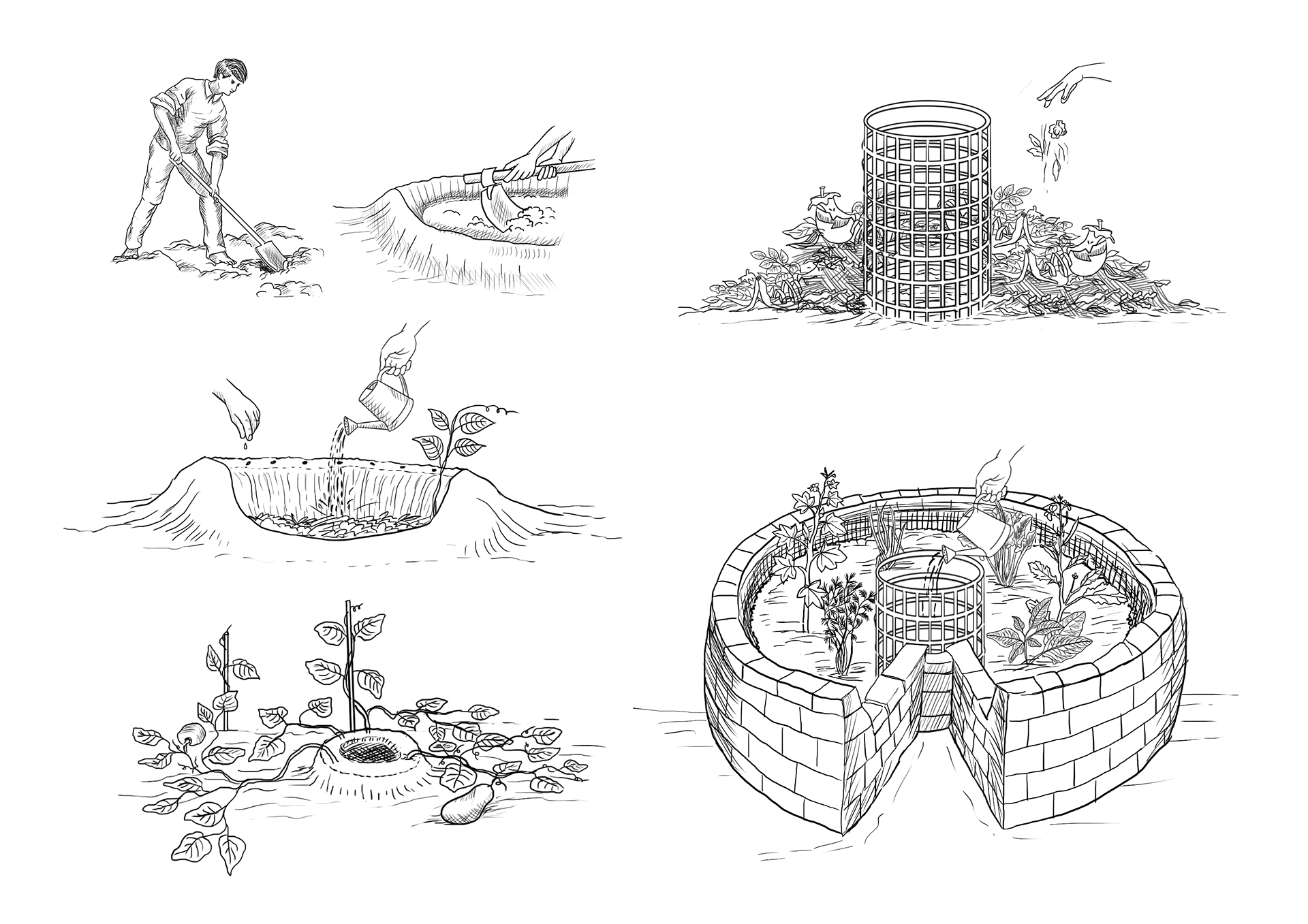 Illustrator | Shivangi Bhotika Graphic Design | Freelance Illustrator | Freelance Graphic Designer