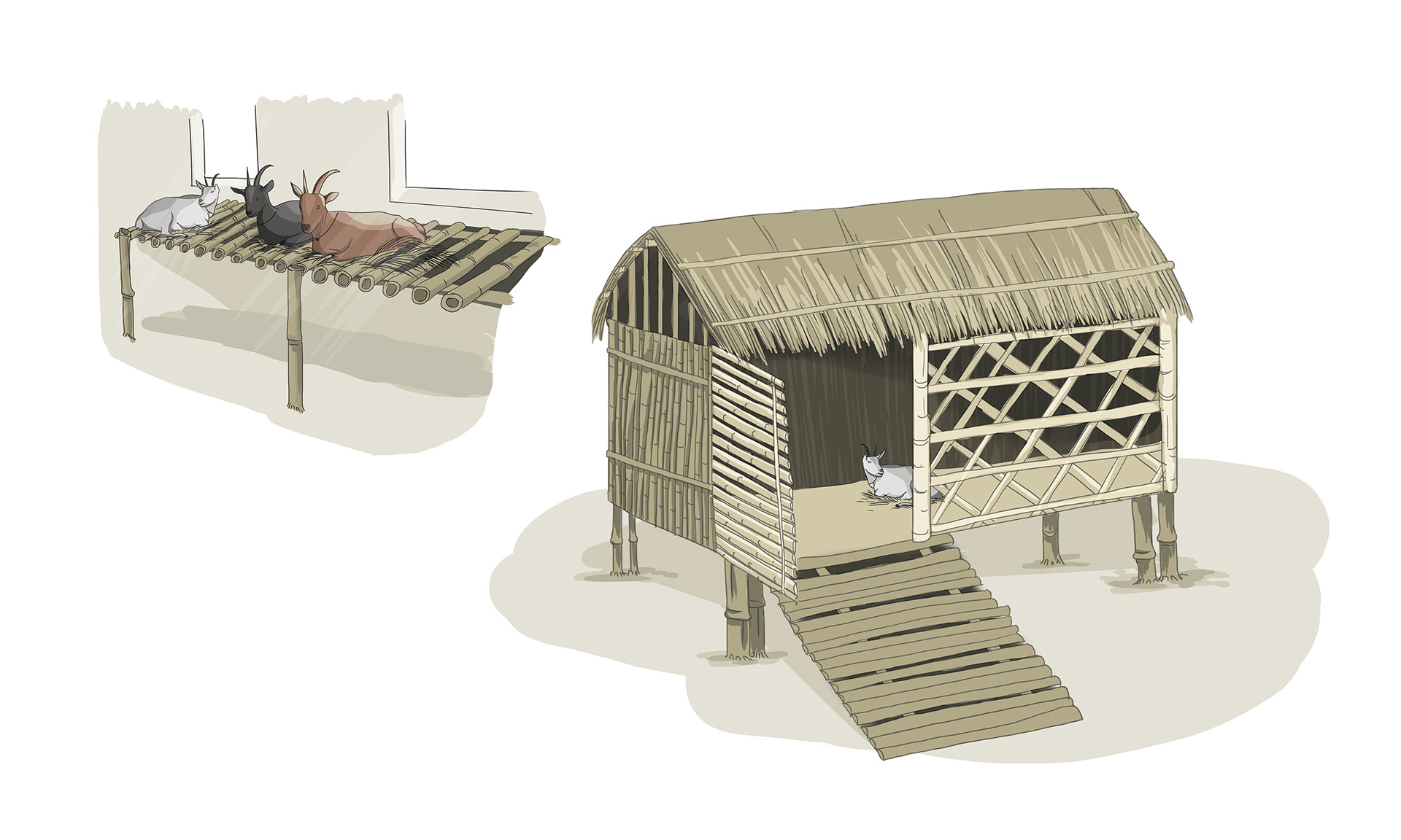Illustrator | Shivangi Bhotika Graphic Design | Freelance Illustrator | Freelance Graphic Designer