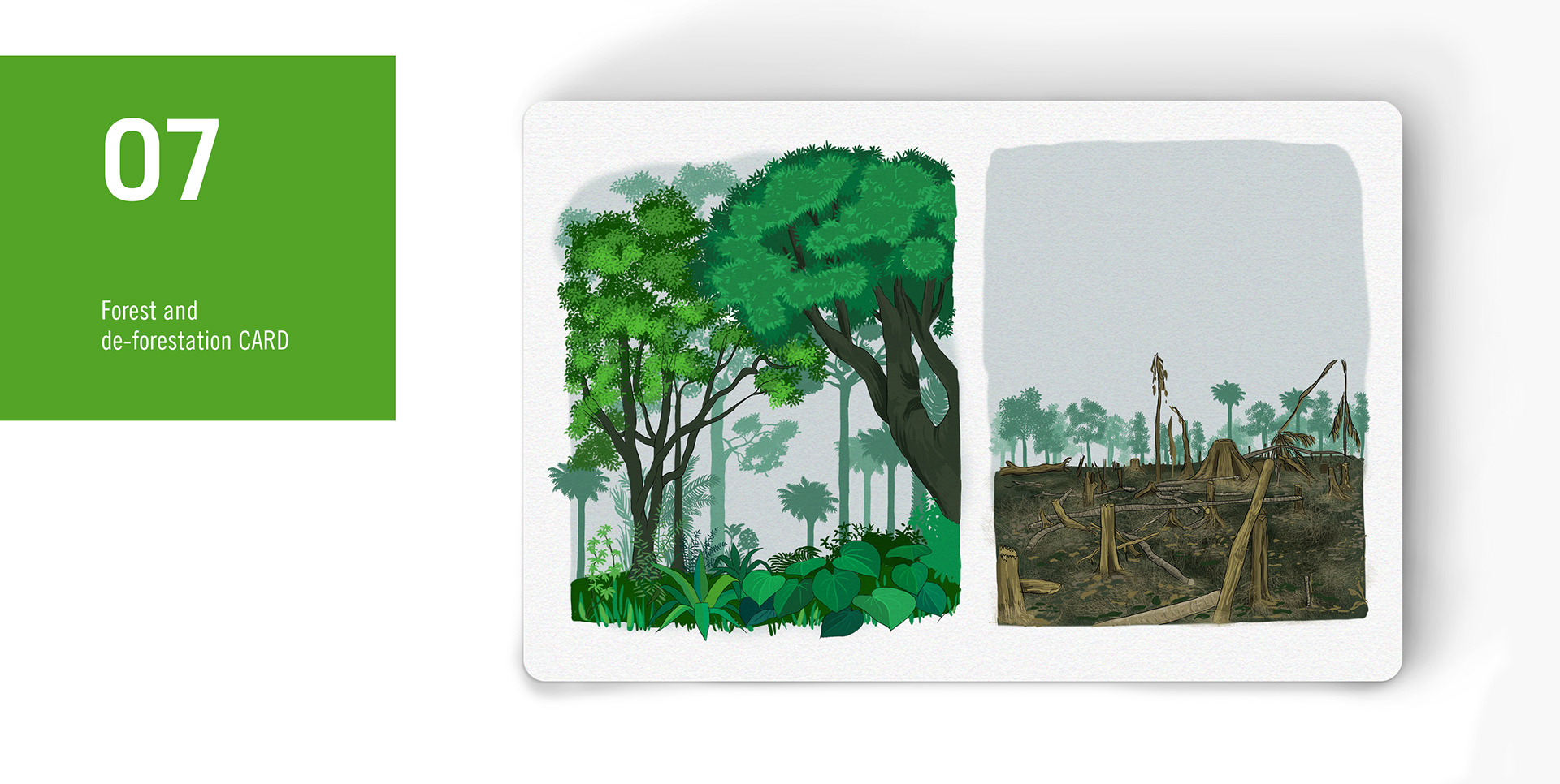 Illustrator | Shivangi Bhotika Graphic Design | Freelance Illustrator | Freelance Graphic Designer