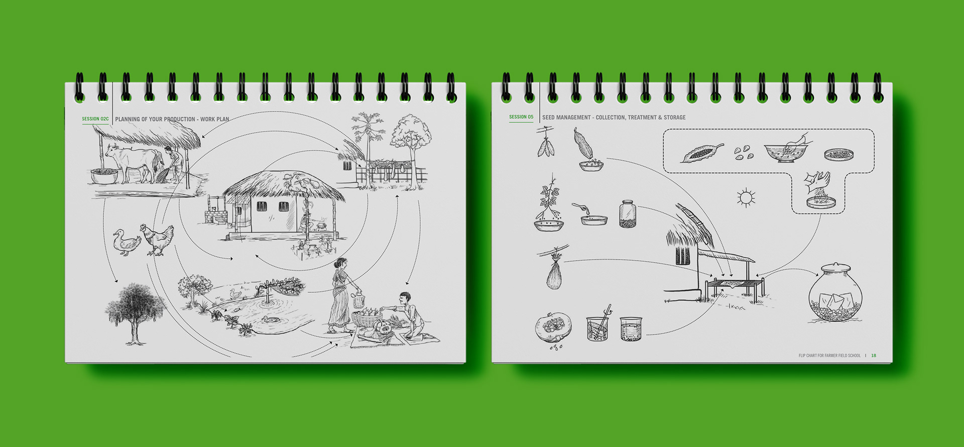 Illustrator | Shivangi Bhotika Graphic Design | Freelance Illustrator | Freelance Graphic Designer