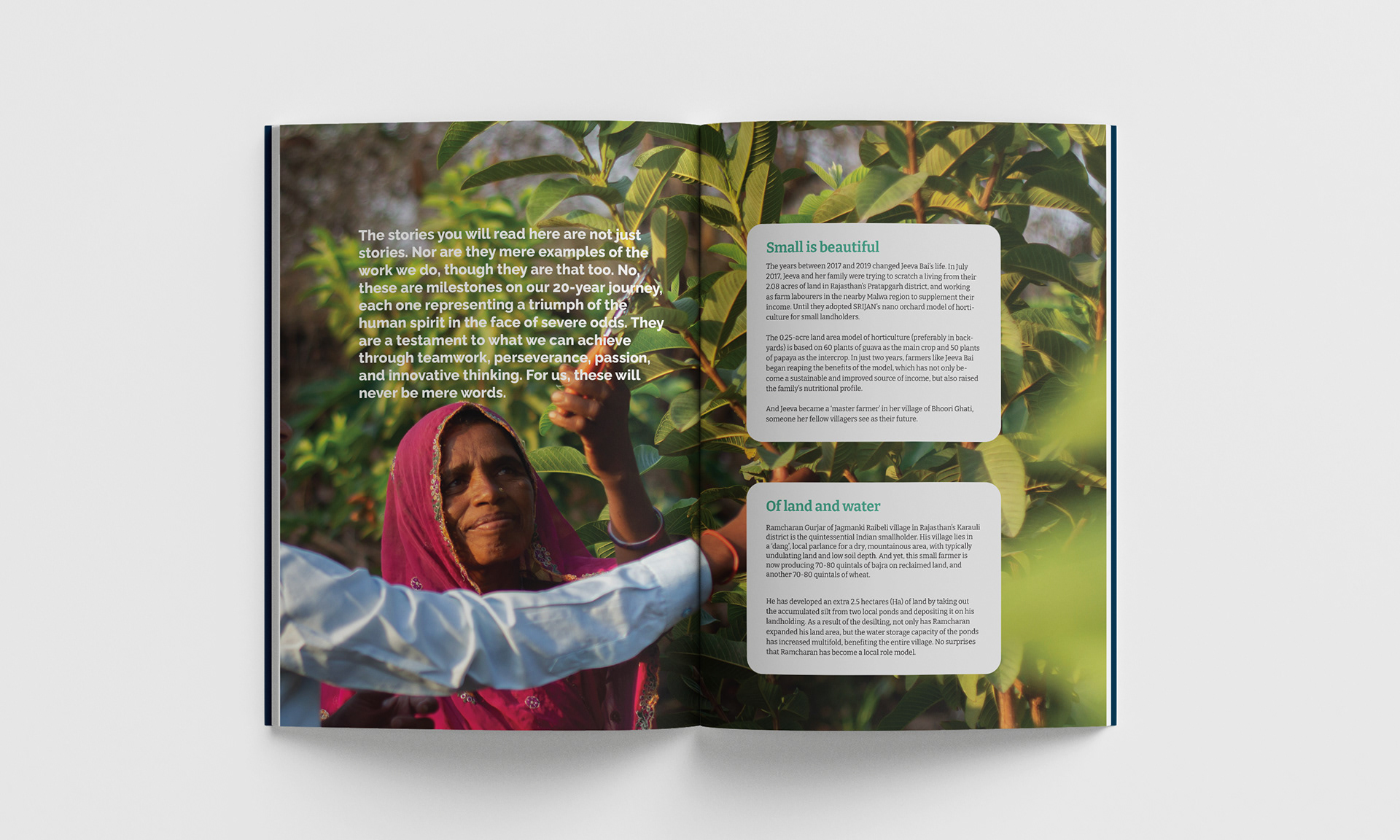 Freelance Graphic Designer | Book Design | Publication Designer | Annual Report Designer | Brochure Designer | Brand guildelines Designer | Company Profile Designer | Catalogue Designer | Look Book Designer | Branding and Identity Design | Shivangi Bhotika Designs | Brand Designer Freelance | Visual Designer | Print Designer |