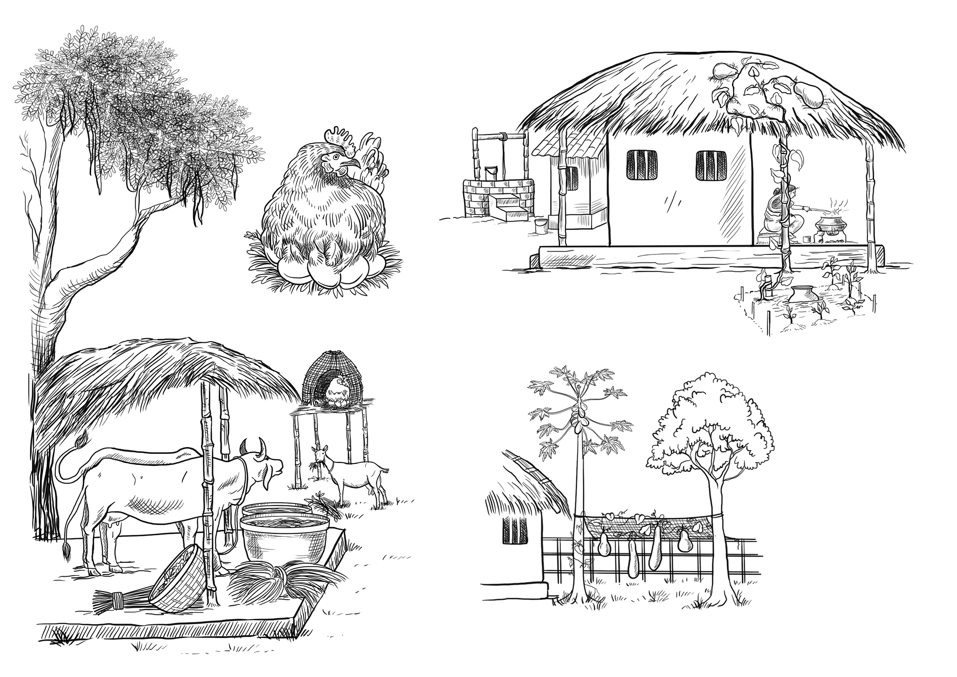 Illustrator | Shivangi Bhotika Graphic Design | Freelance Illustrator | Freelance Graphic Designer