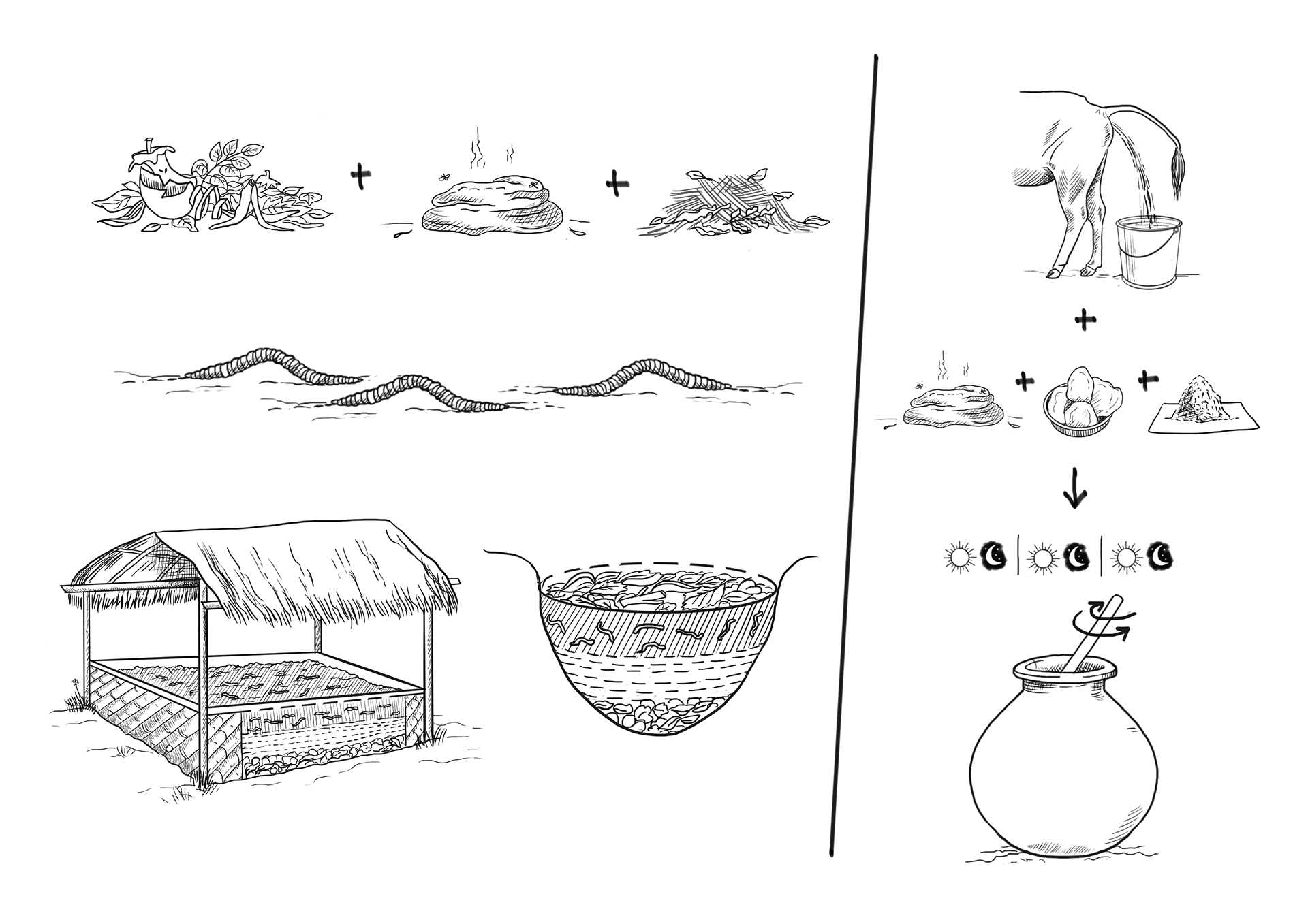 Illustrator | Shivangi Bhotika Graphic Design | Freelance Illustrator | Freelance Graphic Designer