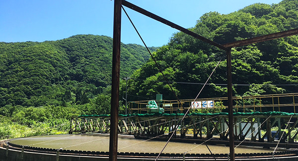 Fuchida Laboratory (TUMSAT)