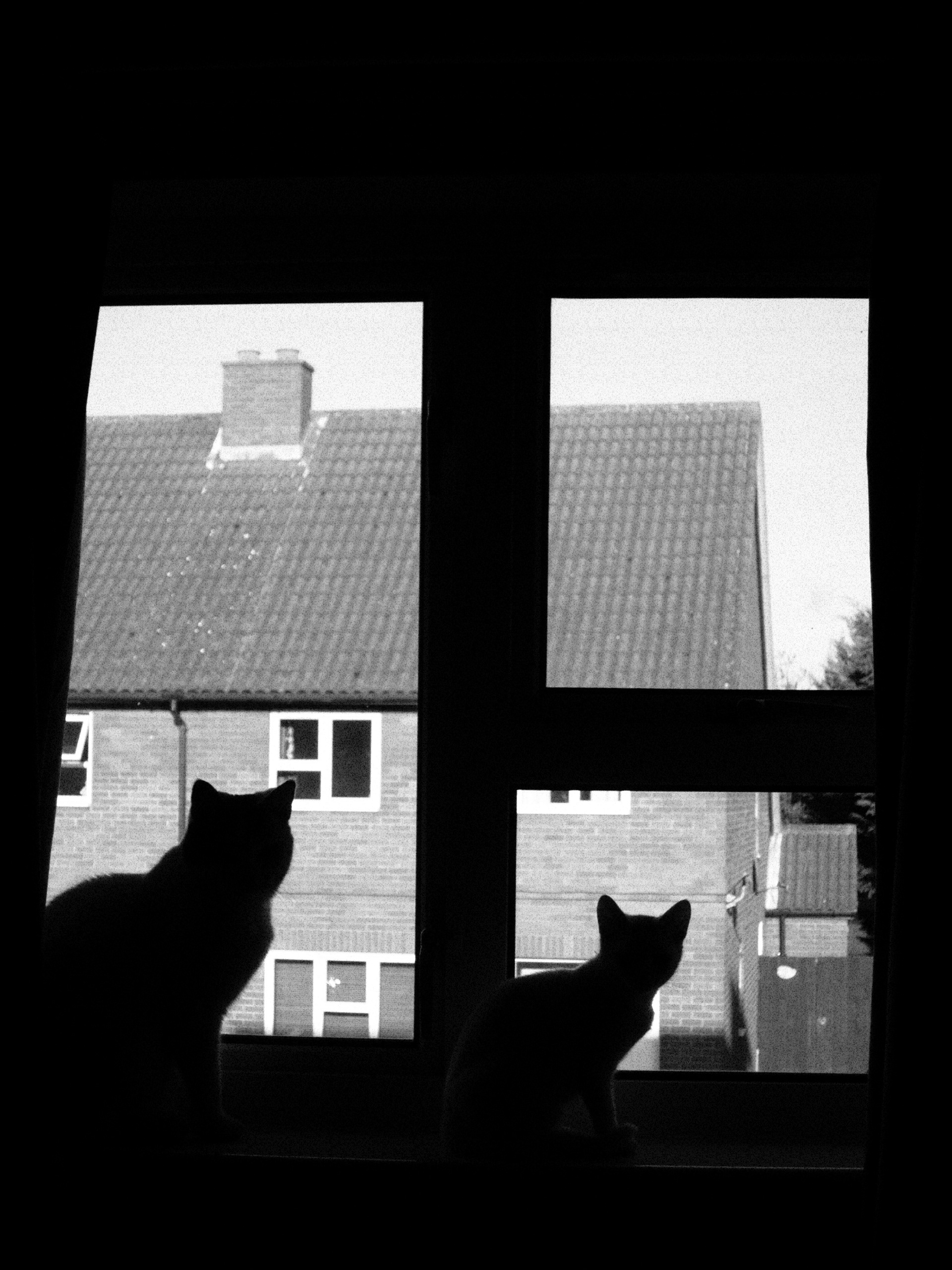 JiJungmin, Photography, Cambridge, 2011.