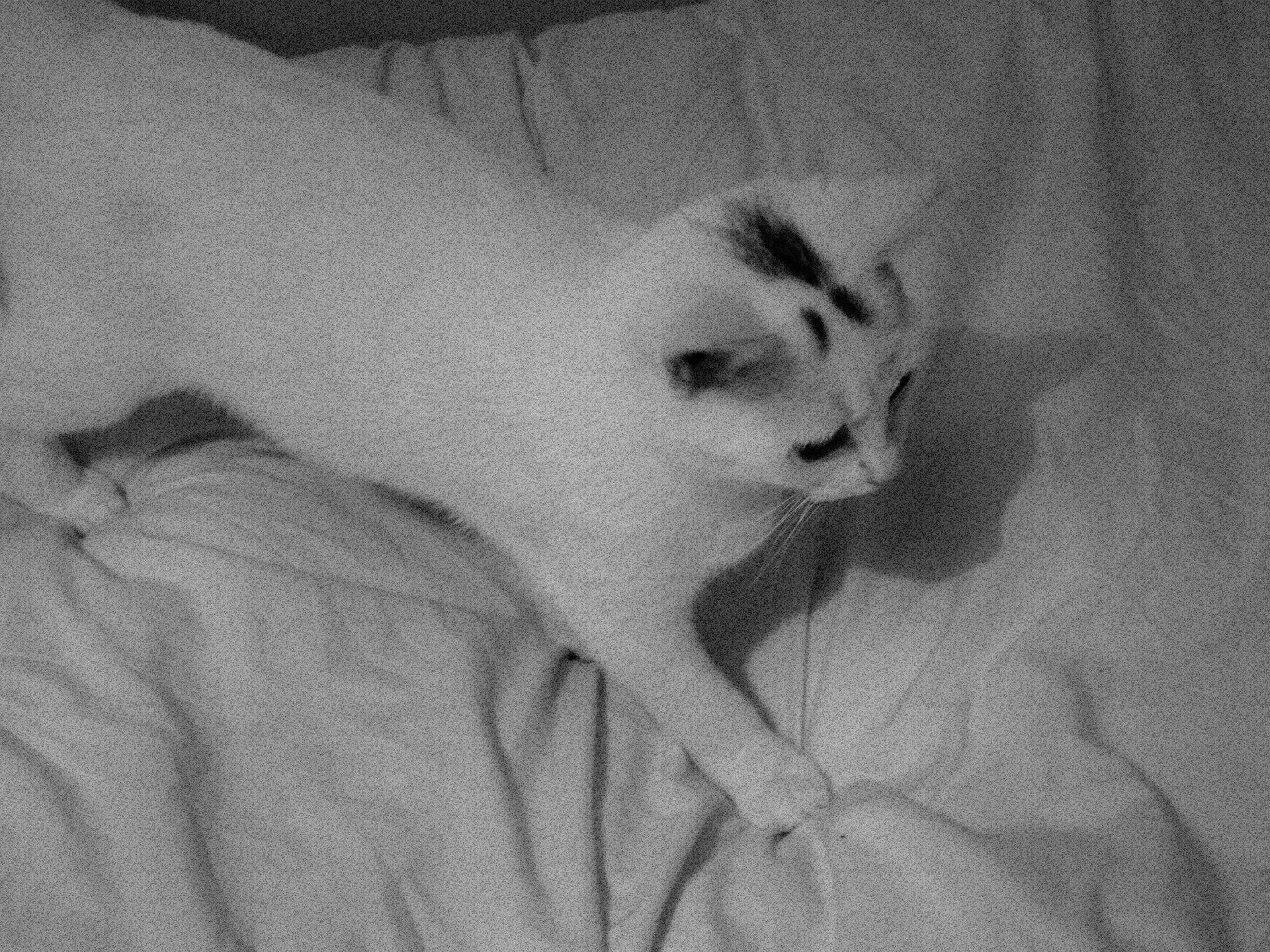 JiJungmin, Photography, Cambridge, 2011.