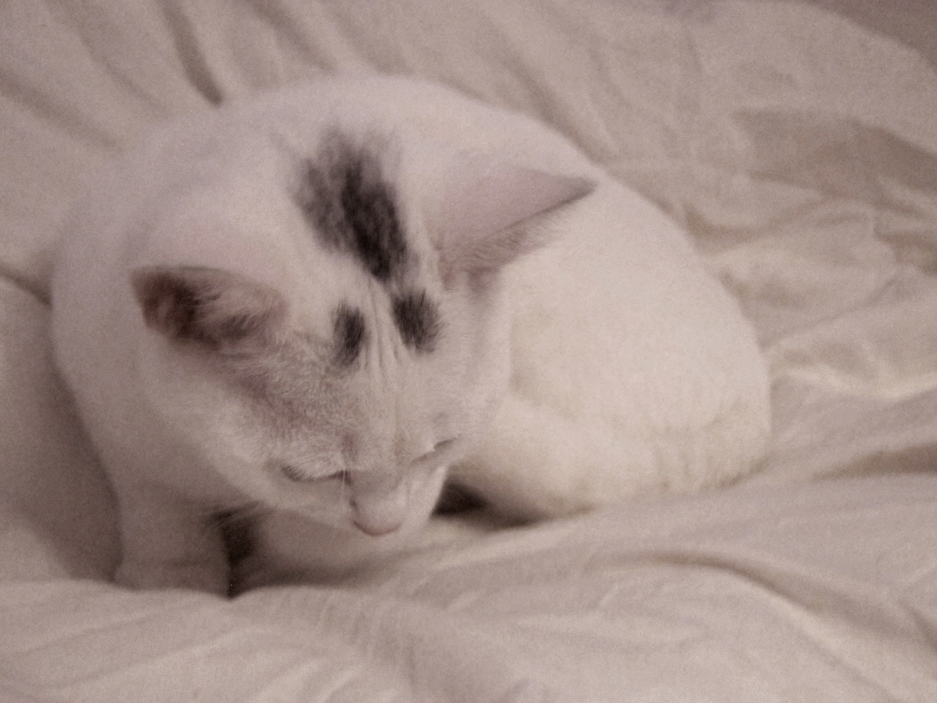 JiJungmin, Photography, Cambridge, 2011.