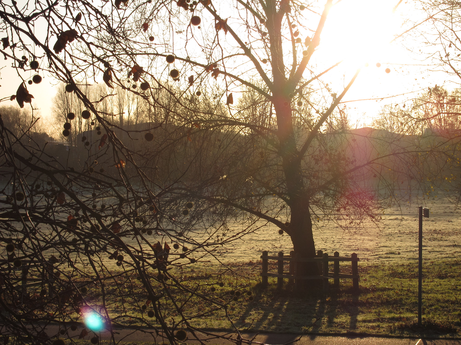 JiJungmin, Photography, Cambridge, 2011.
