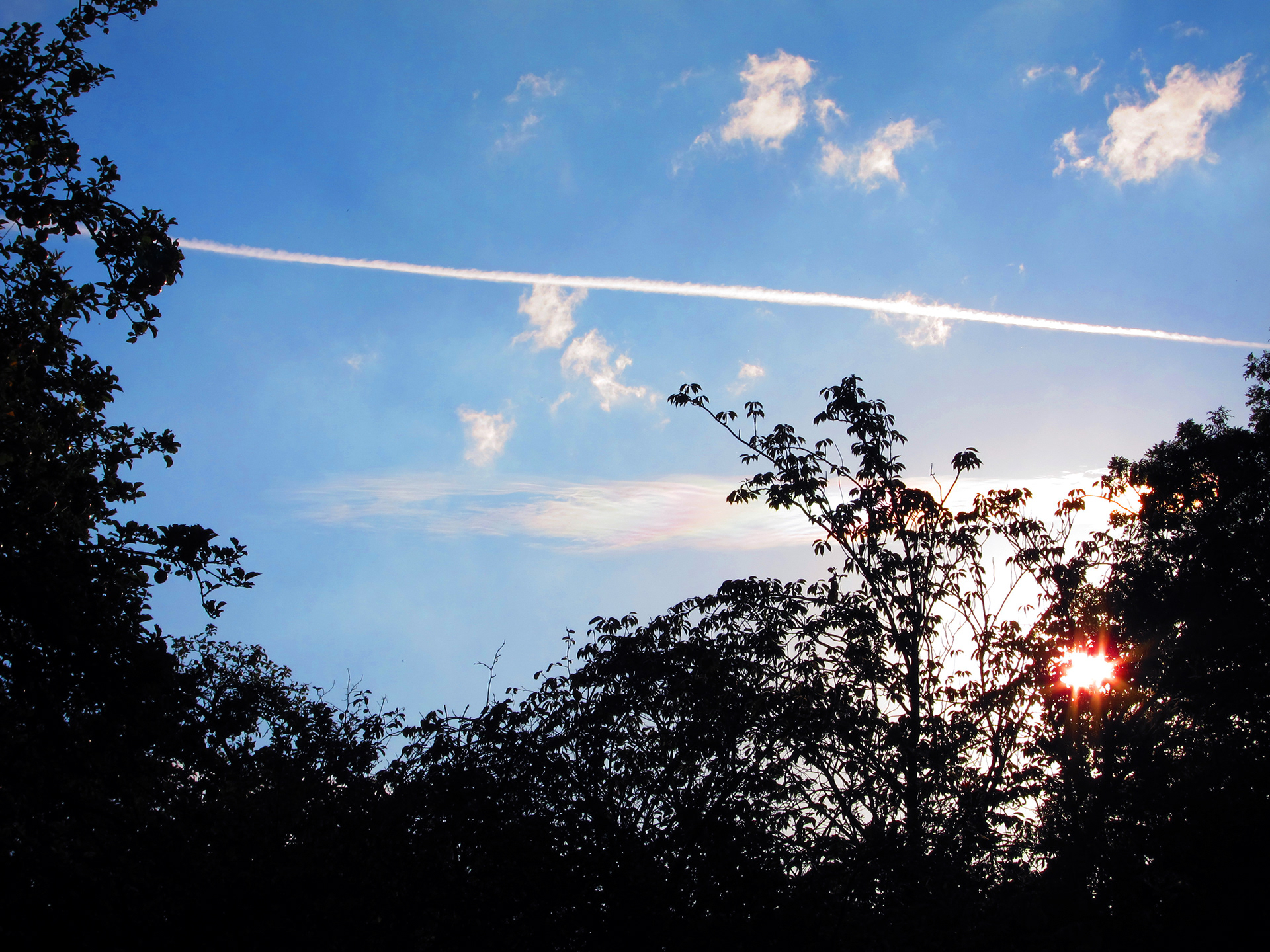 JiJungmin, Photography, Cambridge, 2011.