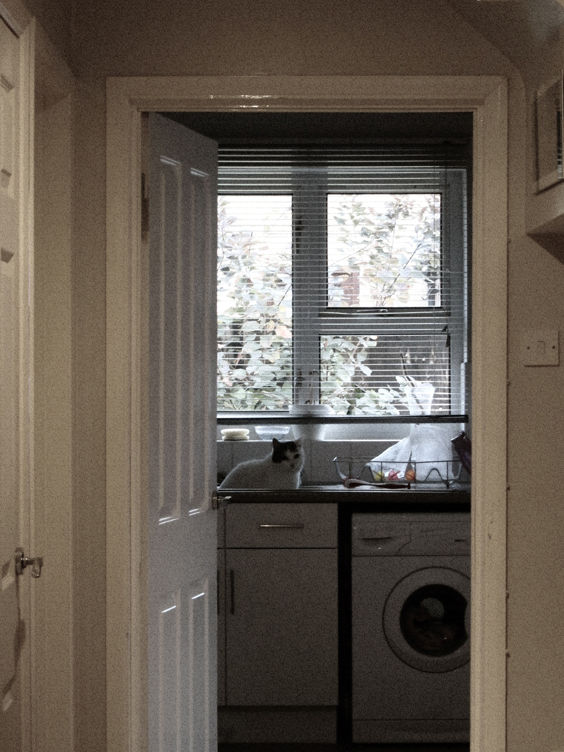 JiJungmin, Photography, Cambridge, 2011.