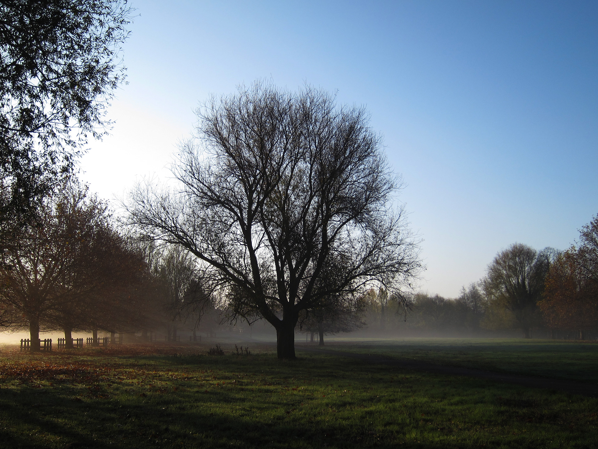 JiJungmin, Photography, Cambridge, 2011.