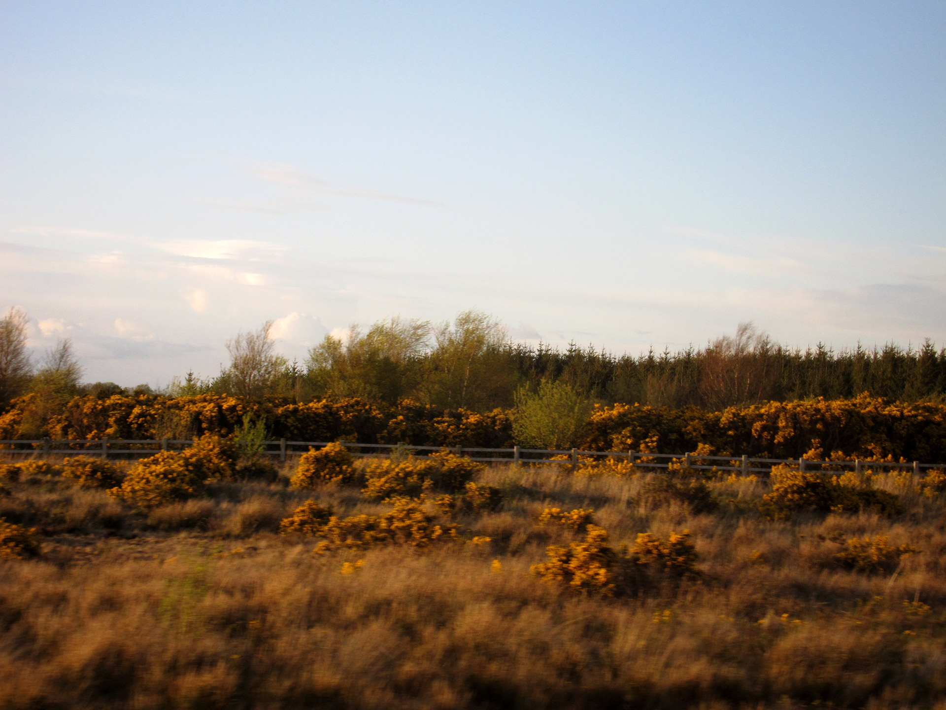 JiJungmin, Photography, Galway, 2012.