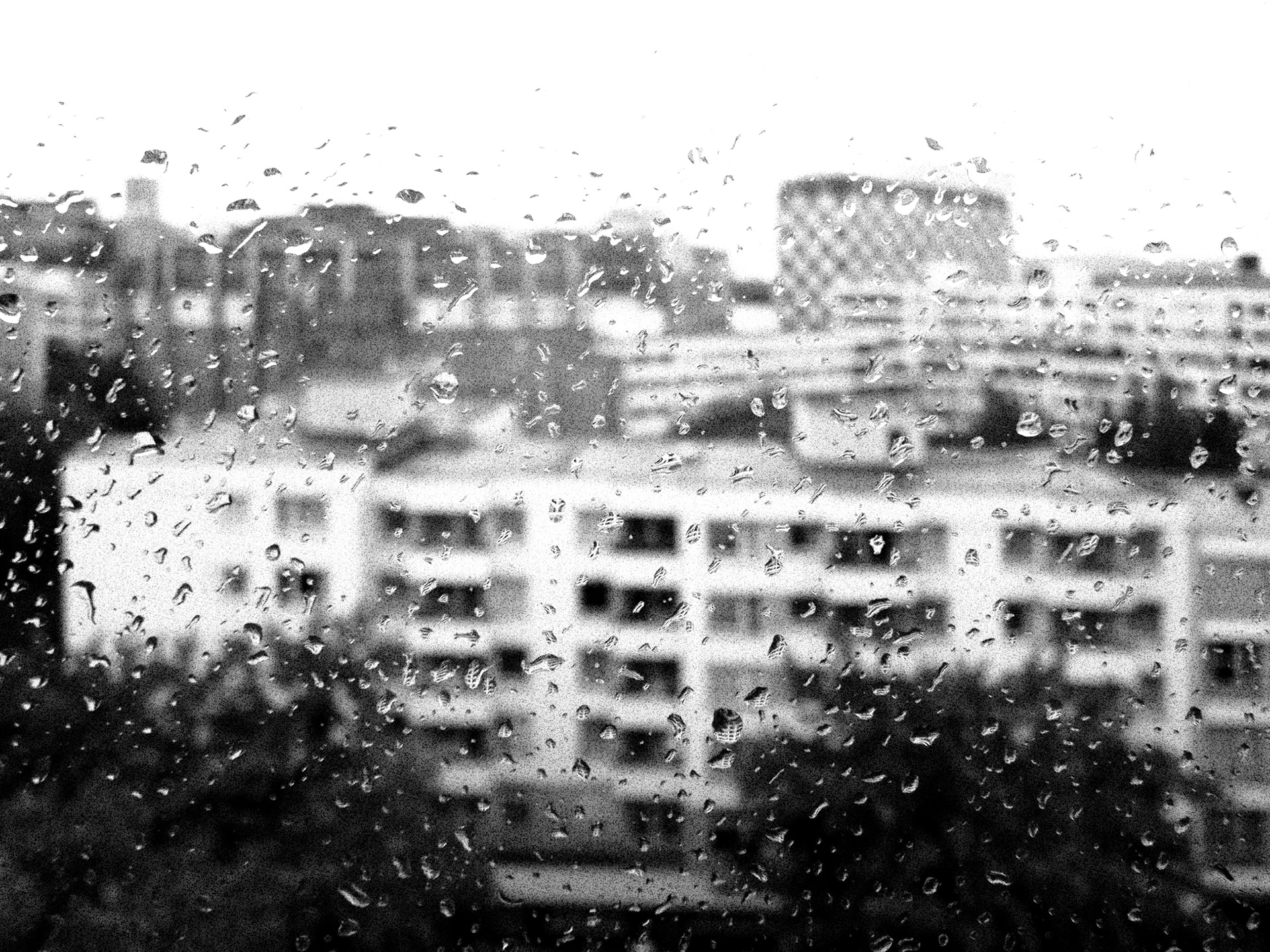 JiJungmin, Photography, Berlin, 2011.