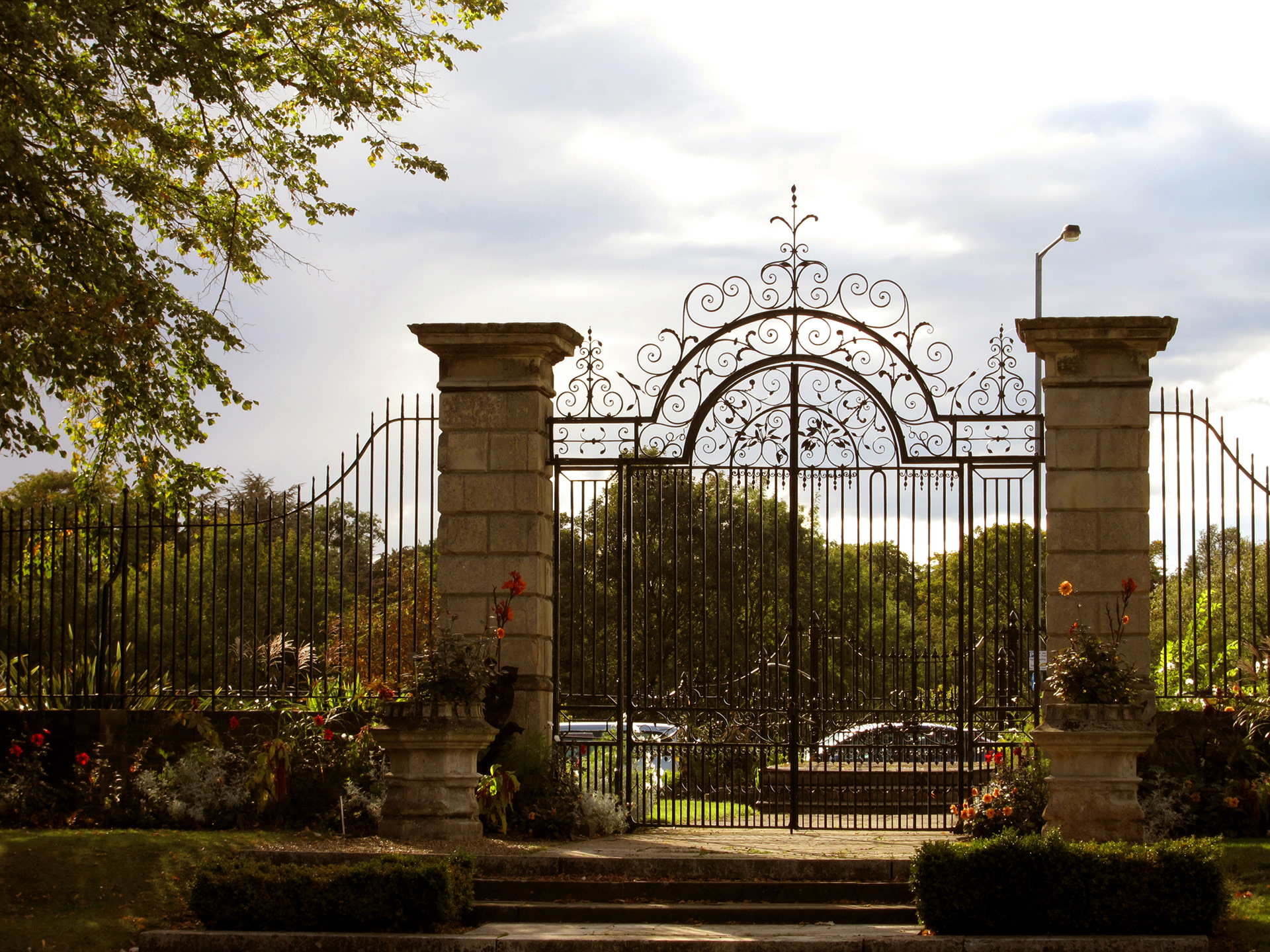 JiJungmin, Botanic Garden, Photography, Ely, 2011.