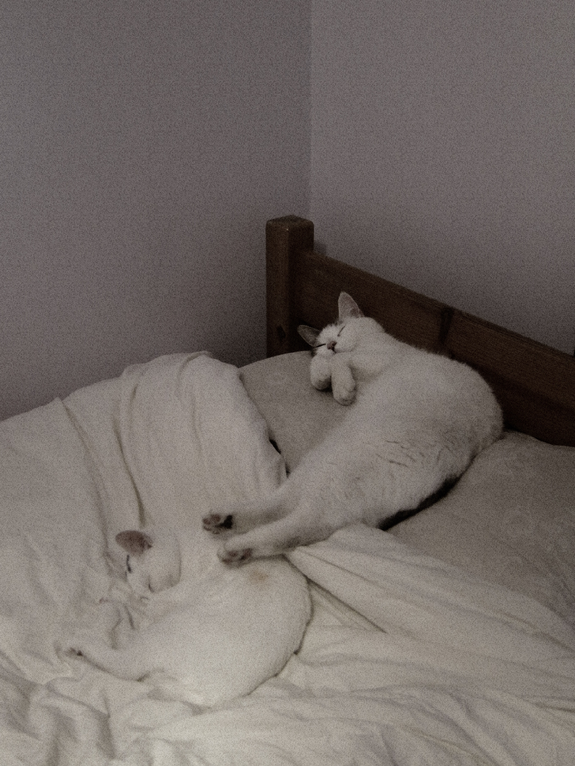 JiJungmin, Photography, Cambridge, 2011.