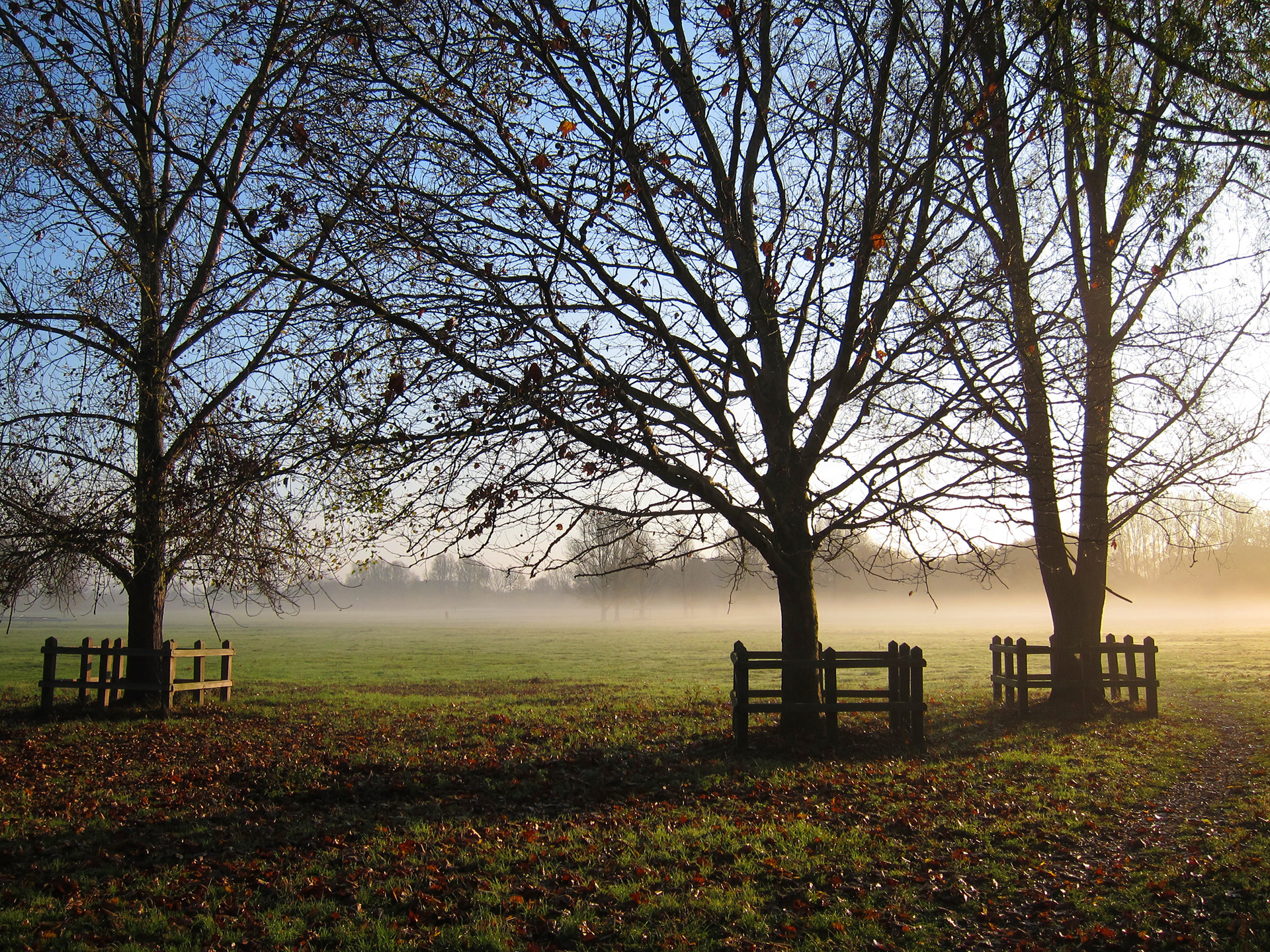 JiJungmin, Photography, Cambridge, 2011.