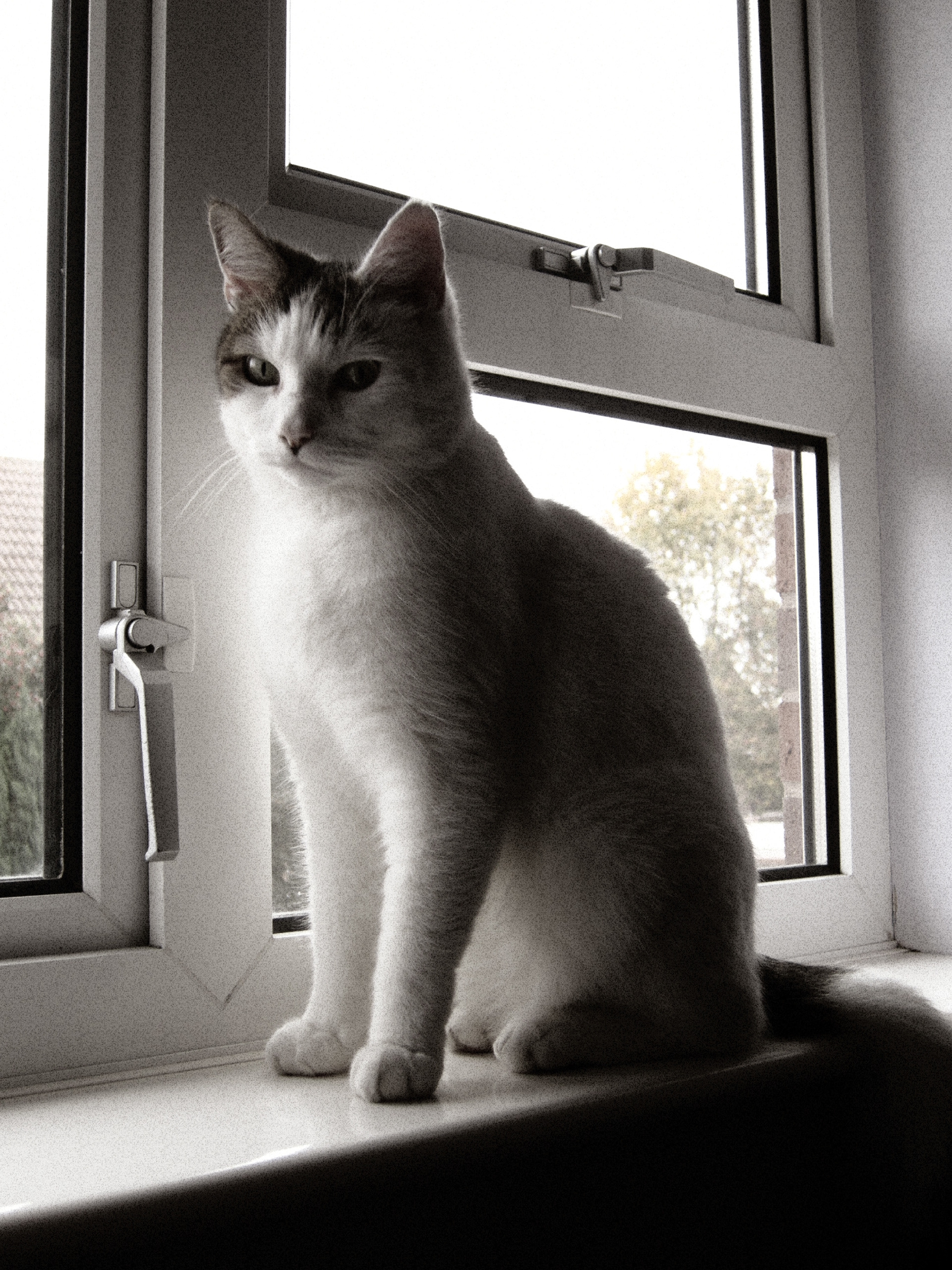 JiJungmin, Photography, Cambridge, 2011.