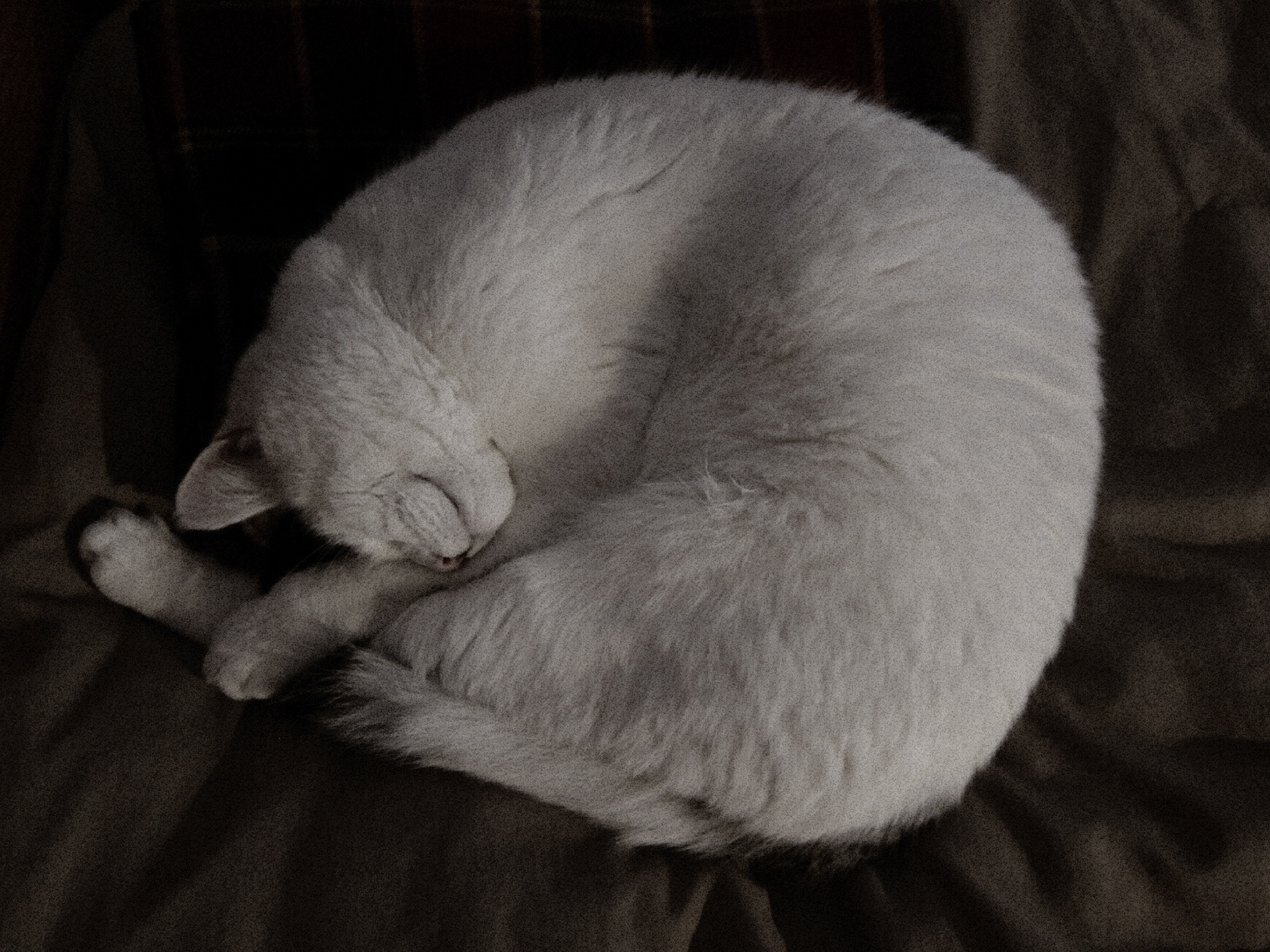 JiJungmin, Photography, Cambridge, 2011.