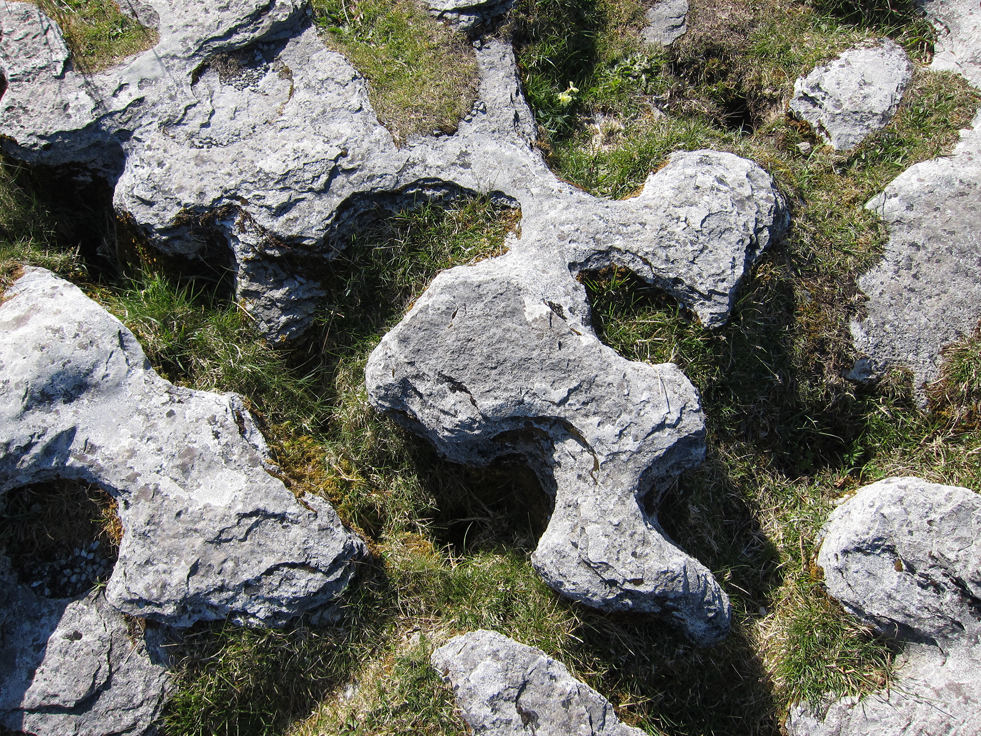 JiJungmin, Photography, Galway, 2012.