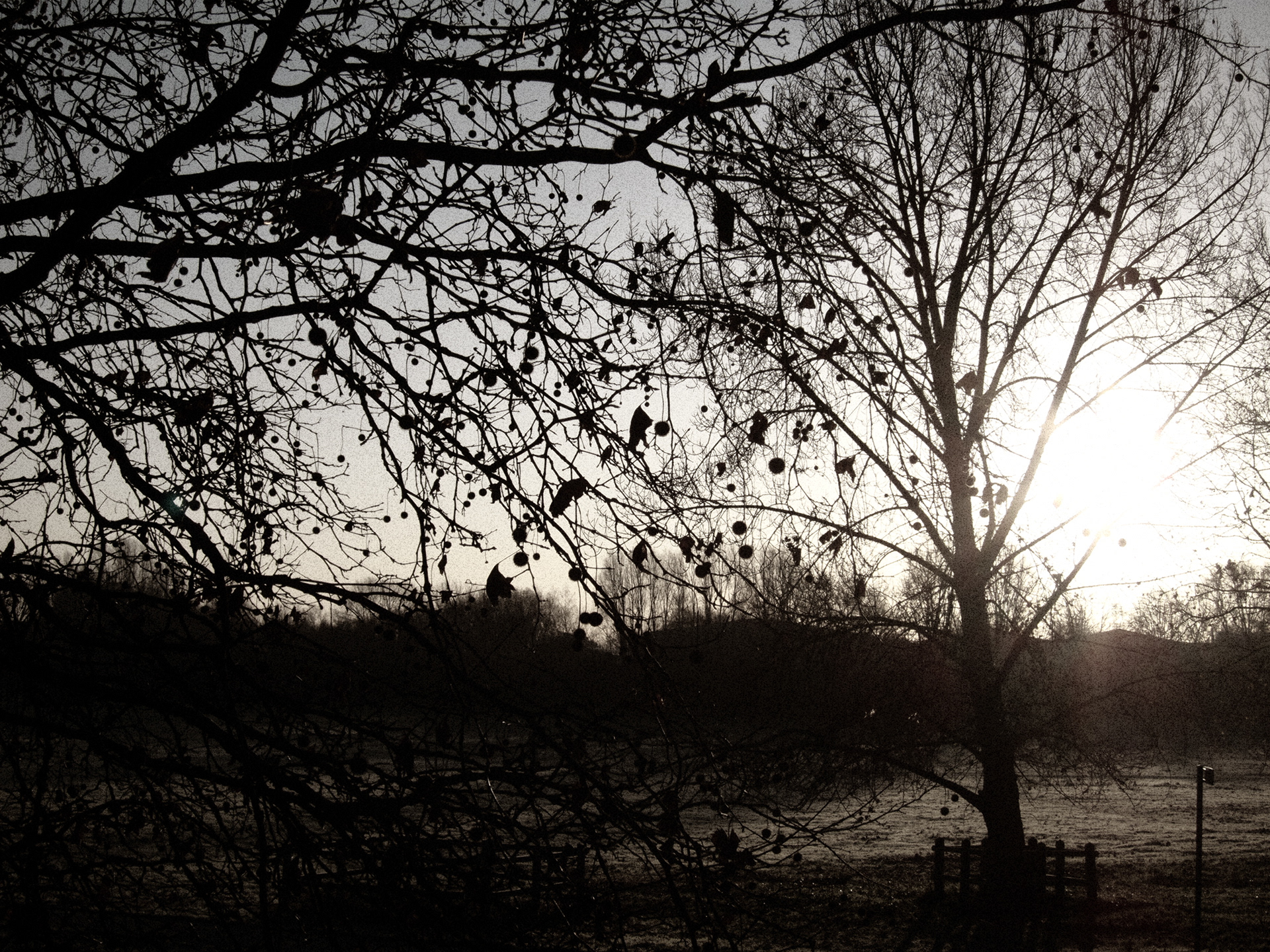 JiJungmin, Photography, Cambridge, 2011.