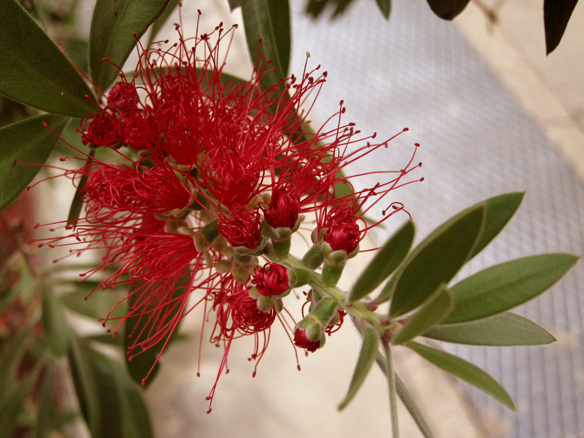 JiJungmin, Botanic Garden, Photography, Ely, 2011.