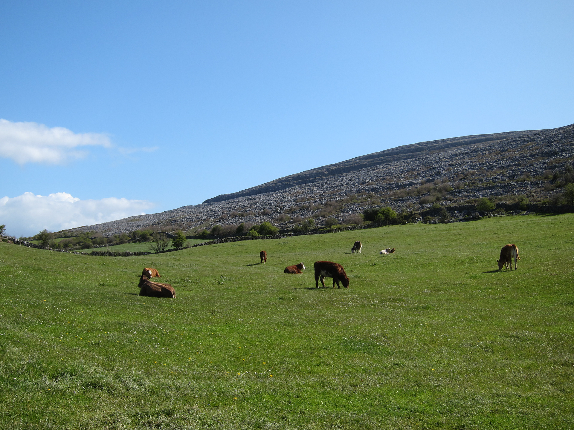 JiJungmin, Photography, Galway, 2012.