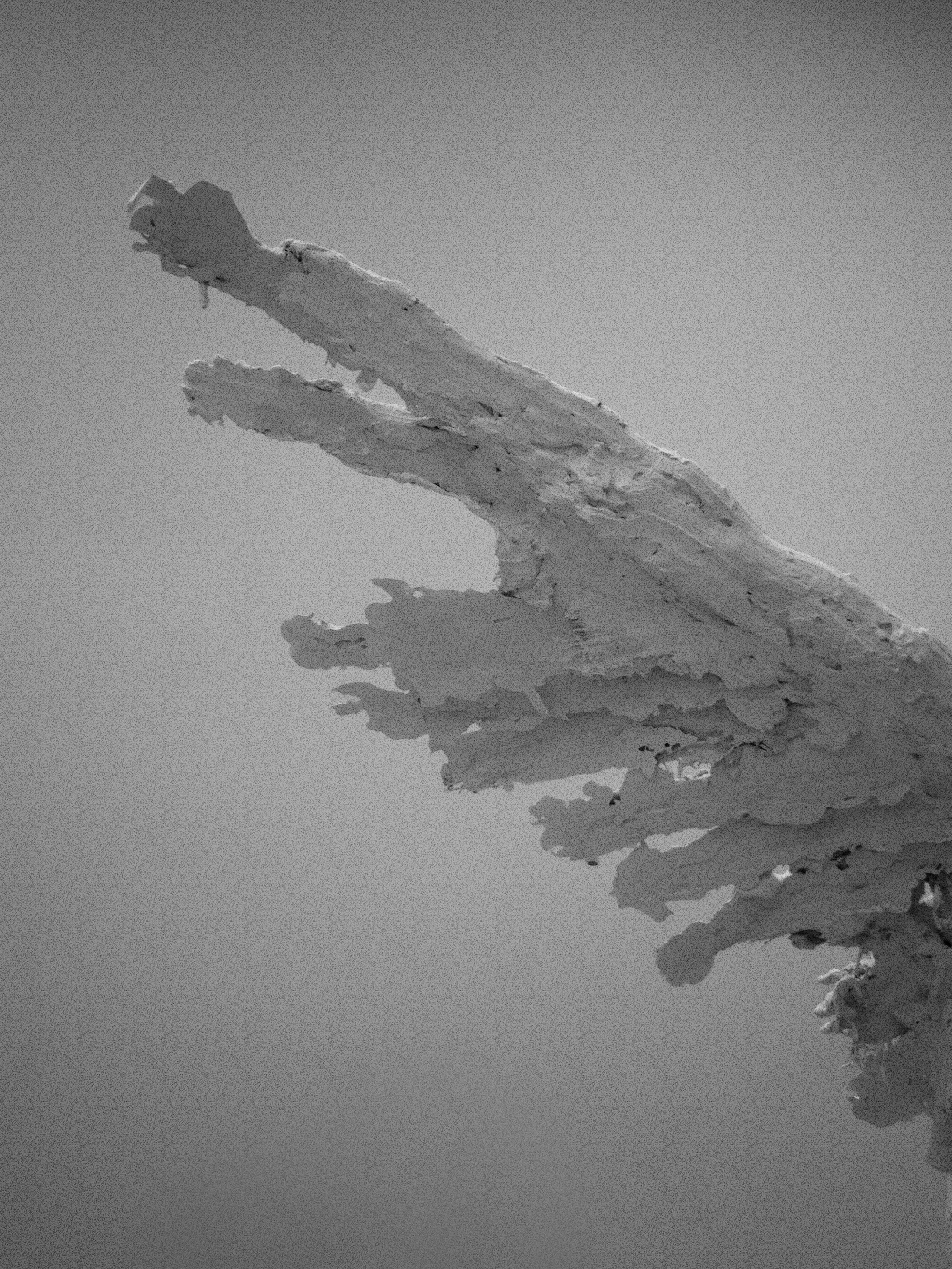 JiJungmin, David Altmejd at Tate, Photography, London, 2011.