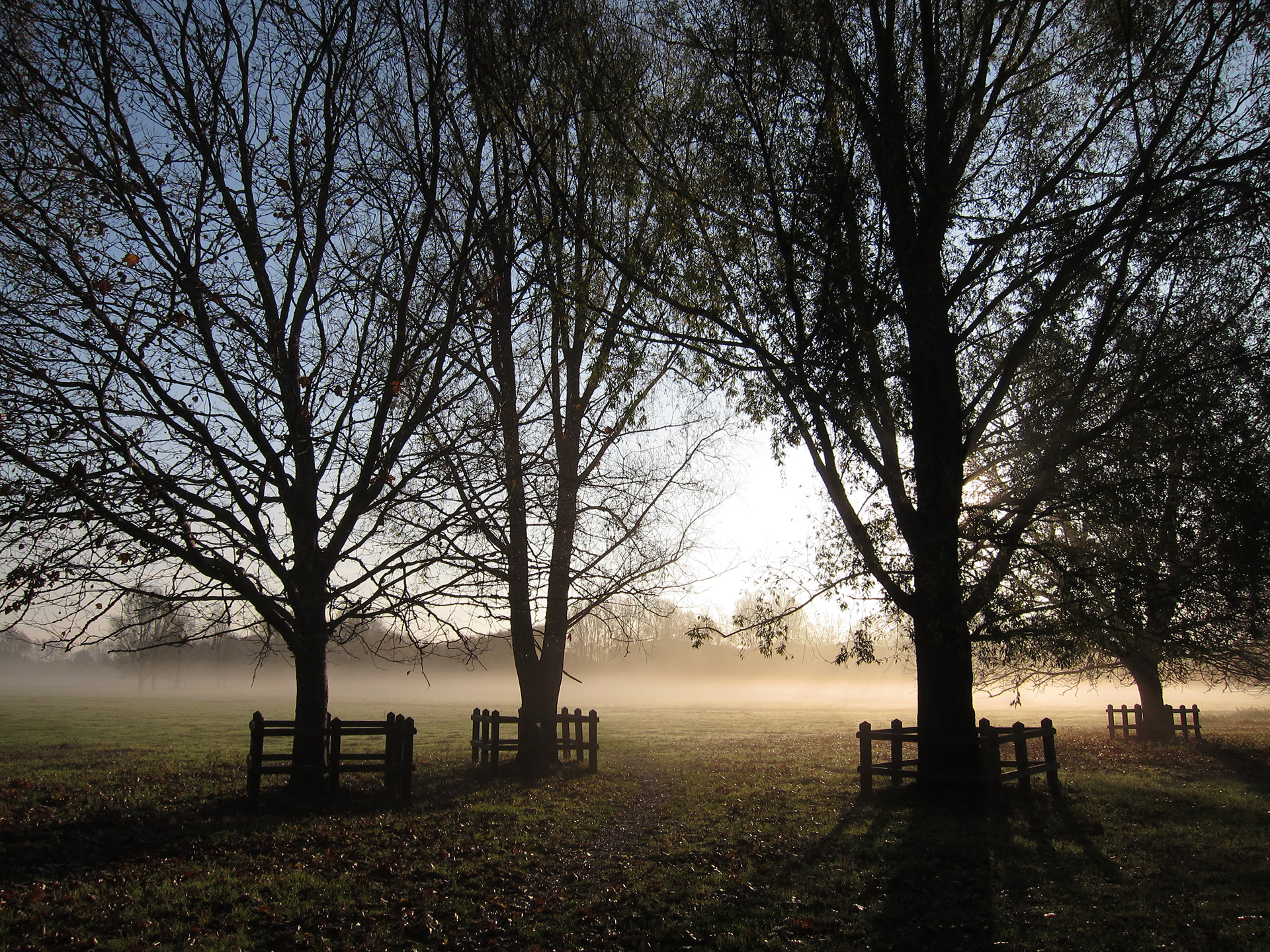JiJungmin, Photography, Cambridge, 2011.