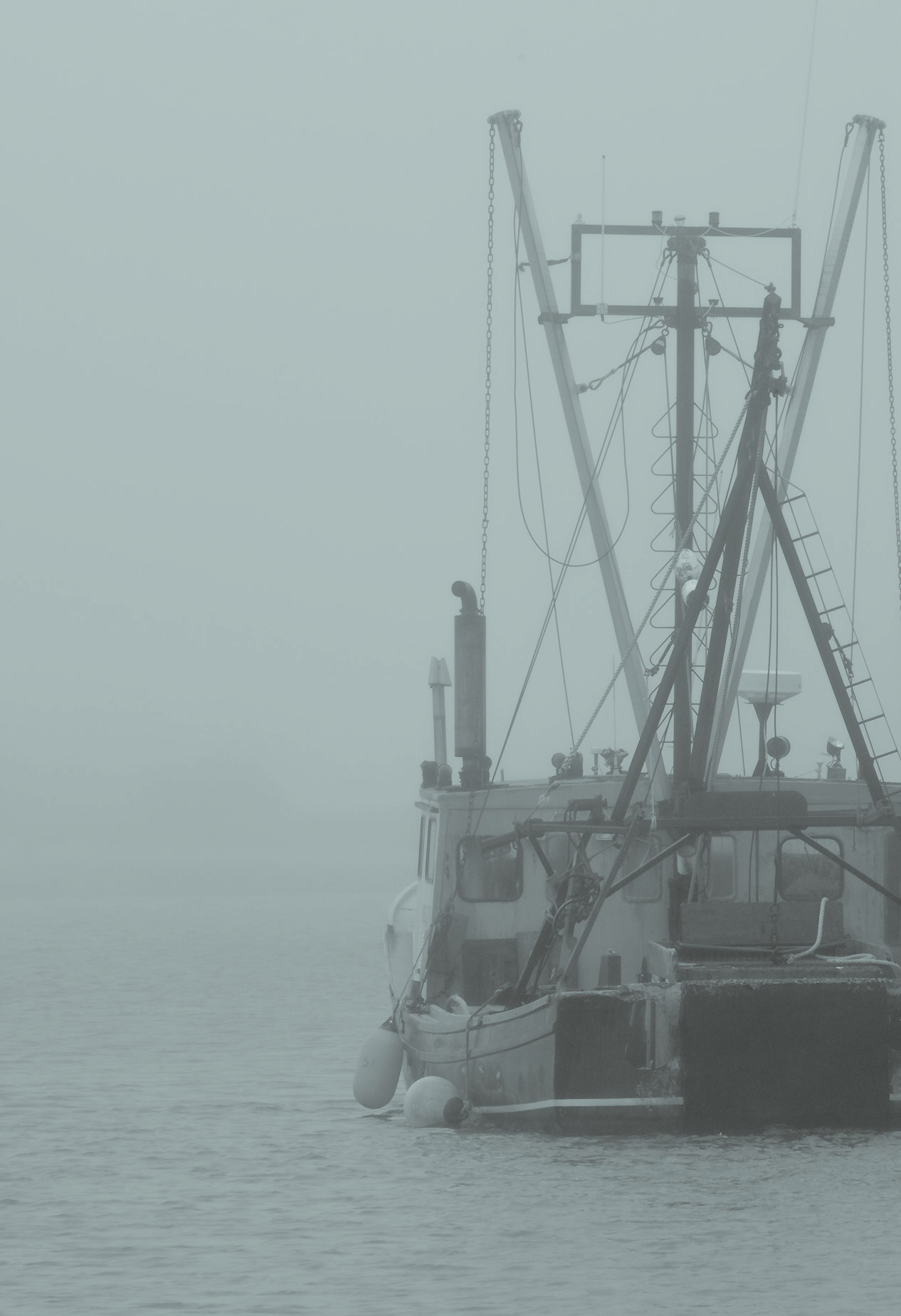 Waiting for the Fog to Lift