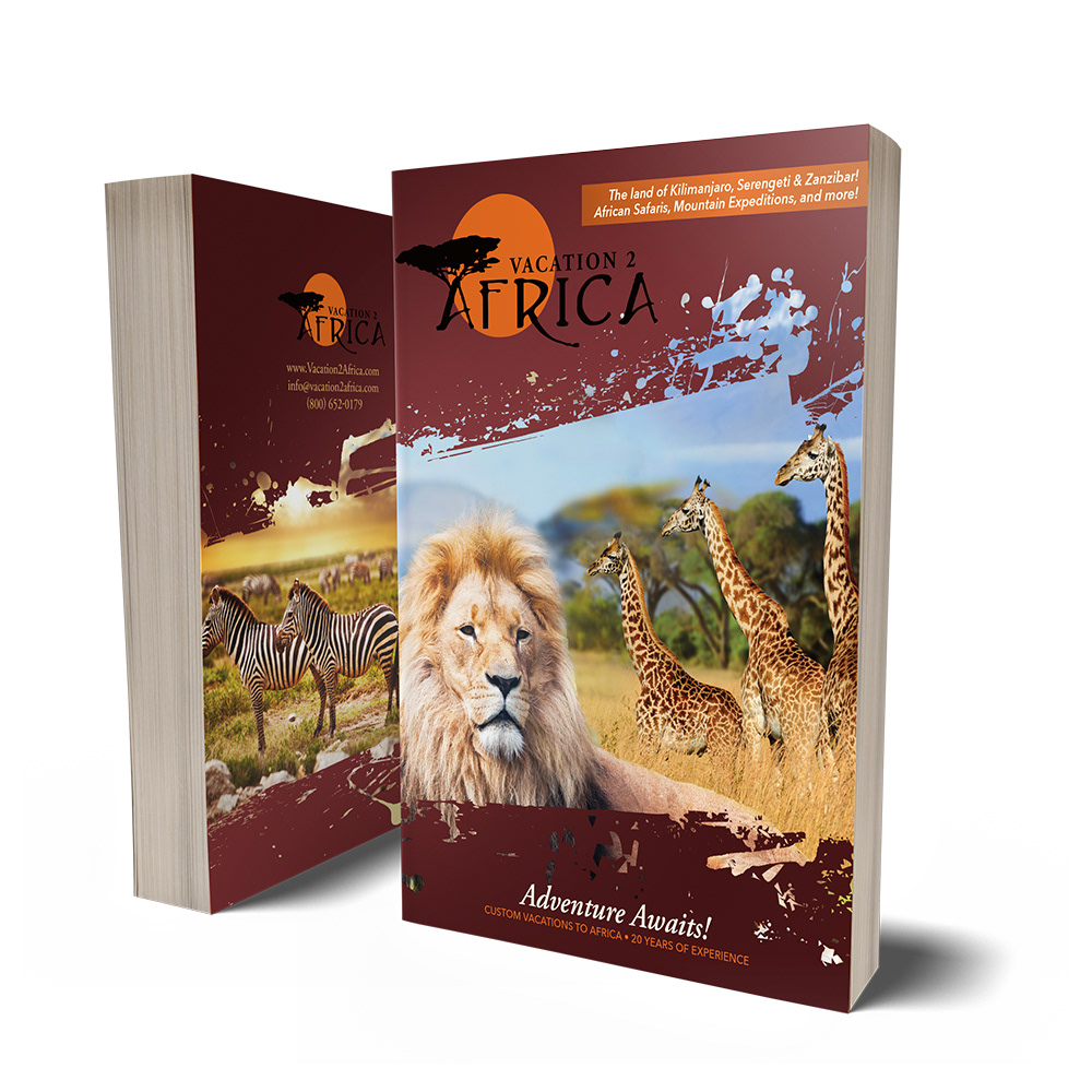 Vacation 2 Africa Book Cover