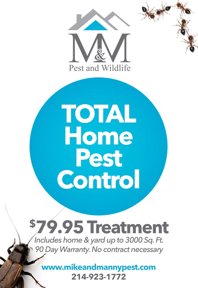 M&M Pest Flyer