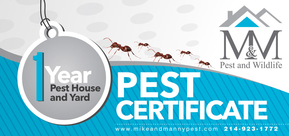 M&M Pest Gift Certificate