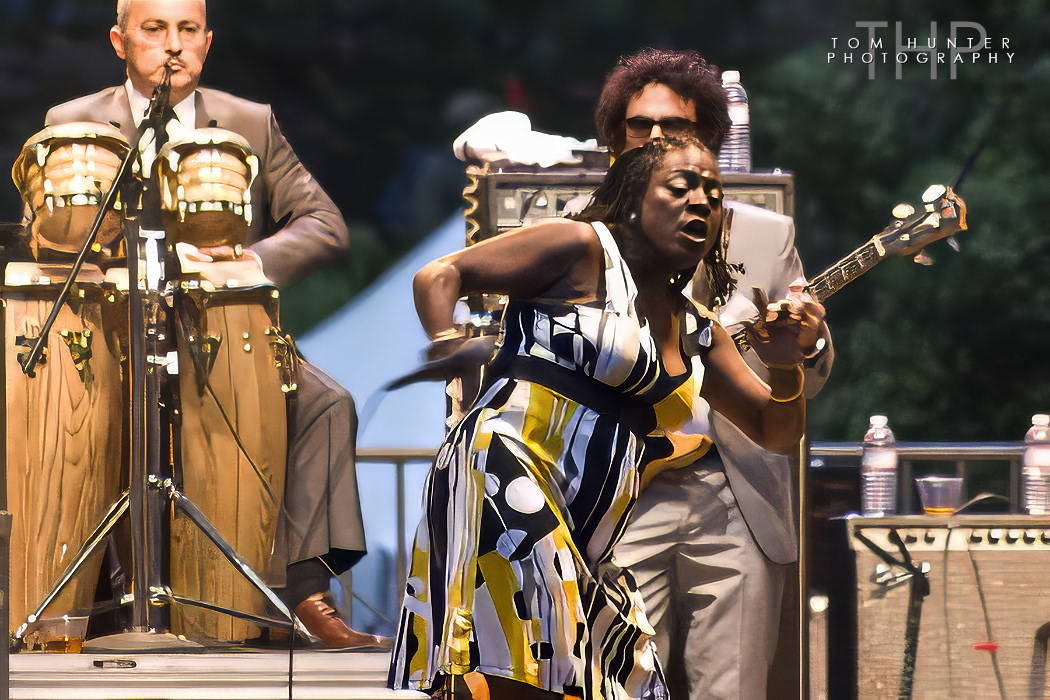 Hardly Strictly Blues Festival