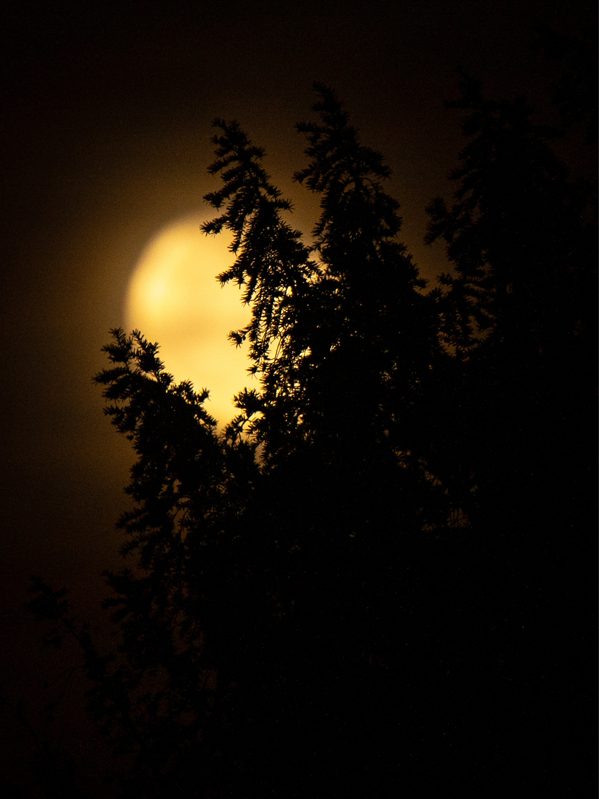 Full moon, Switzerland