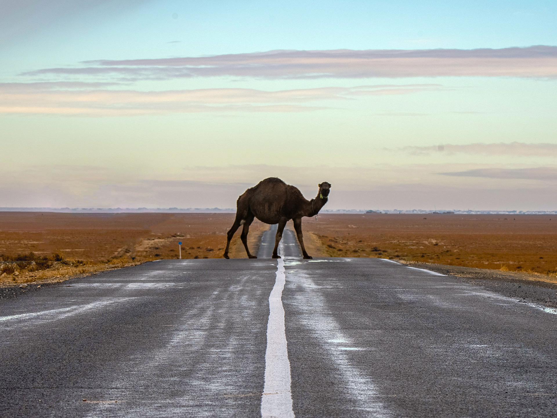 Mangystau, Kazakhstan