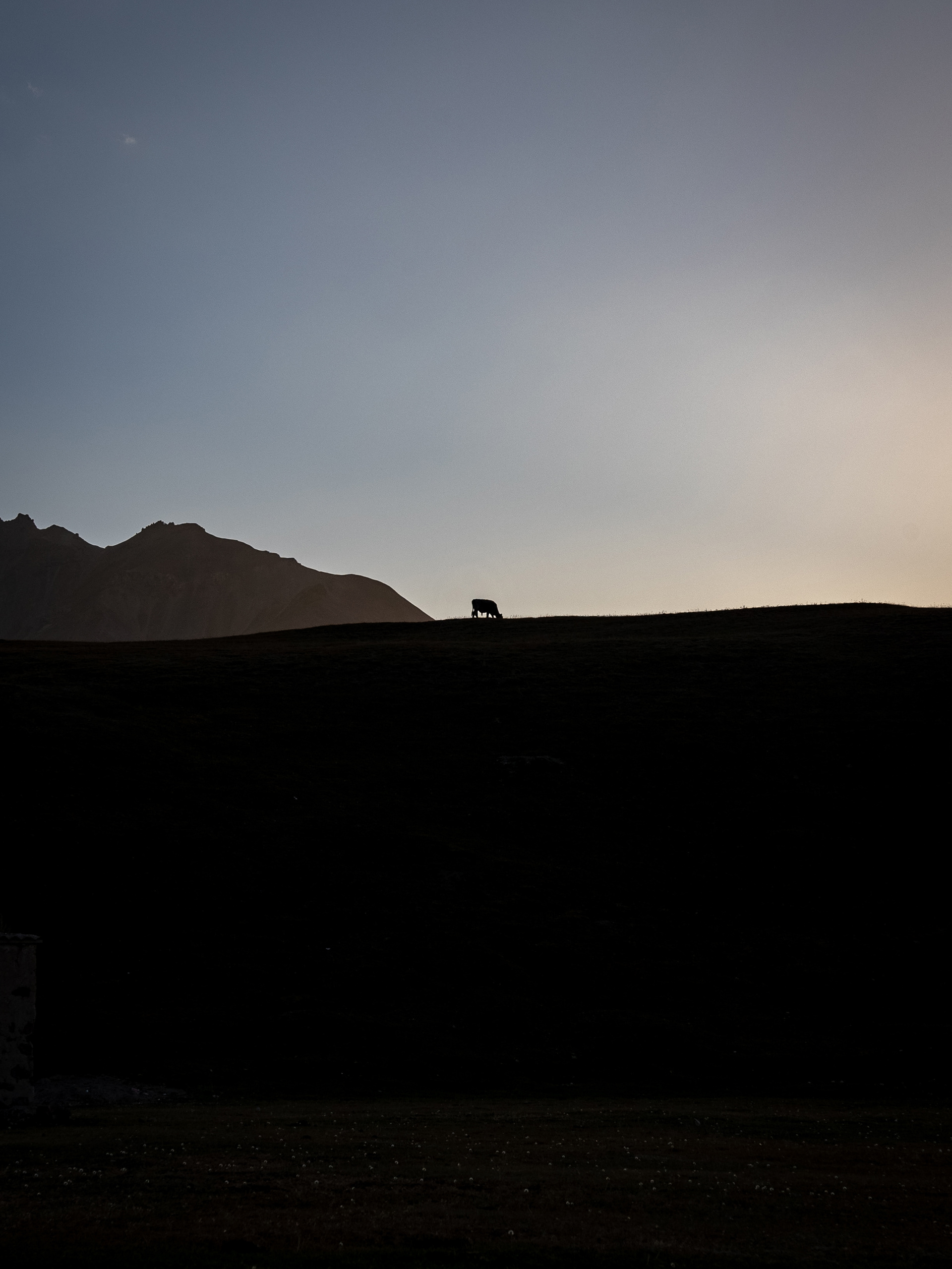Alay valley, Kyrgyzstan