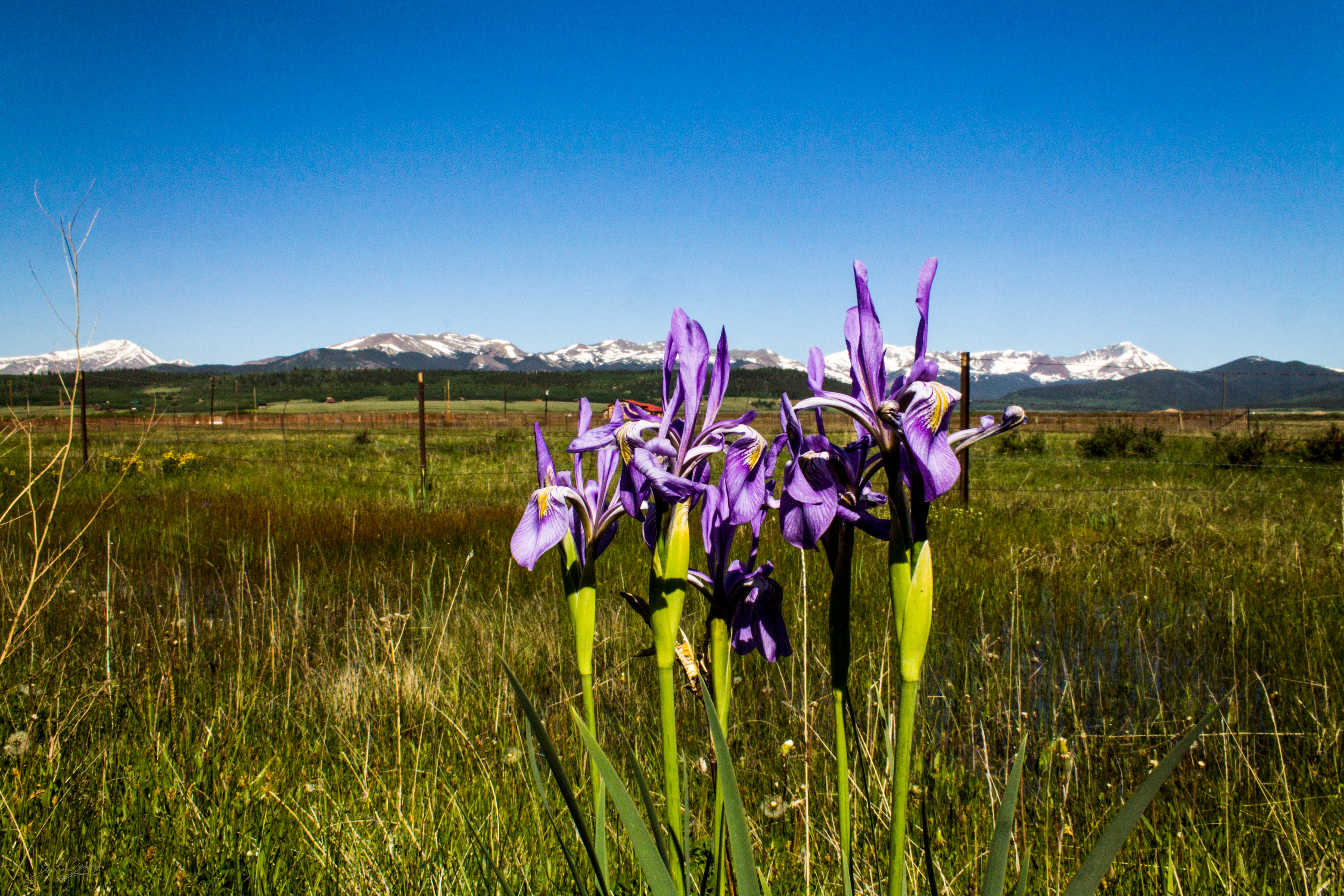 High Country