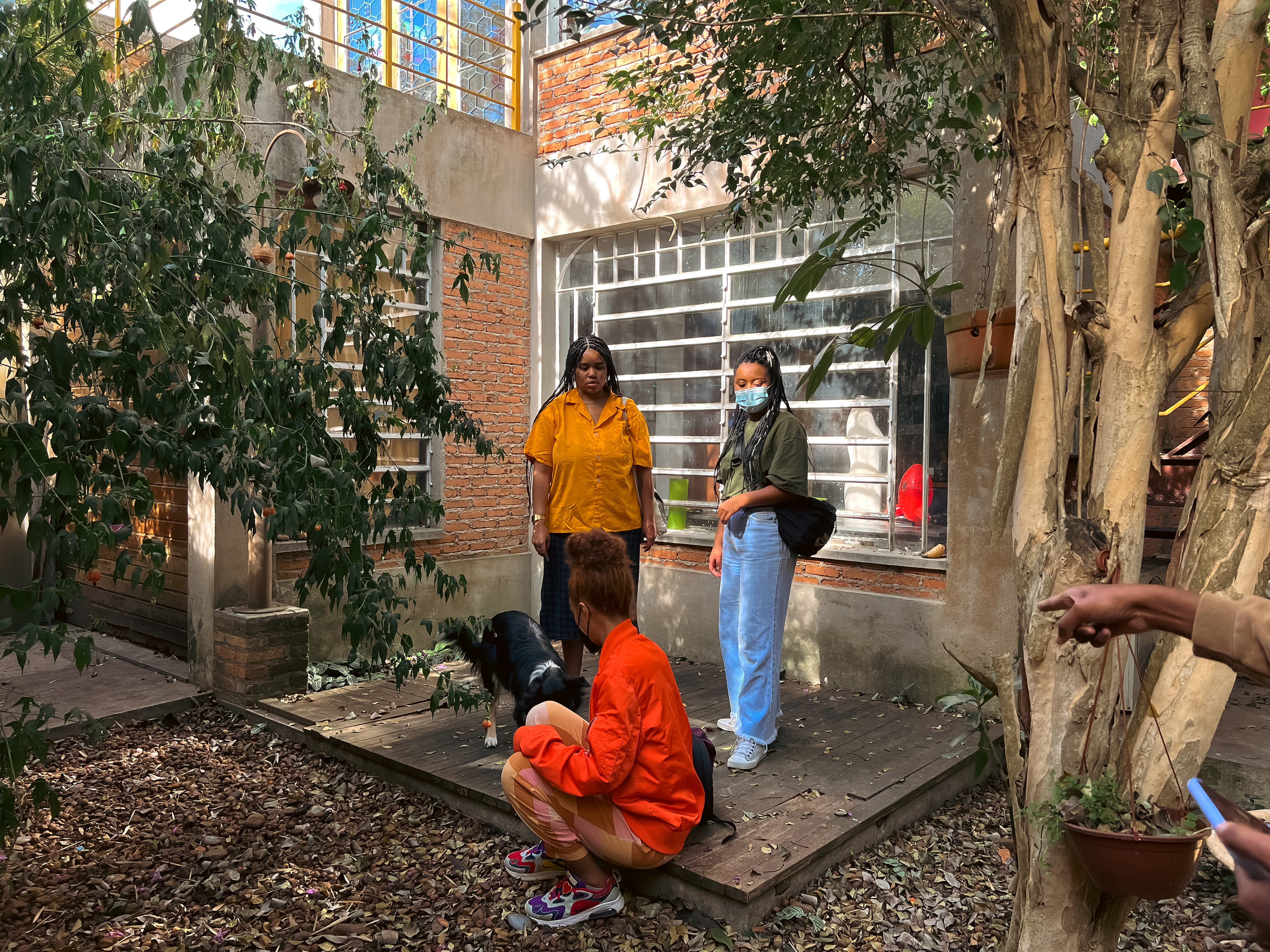 visita de locação