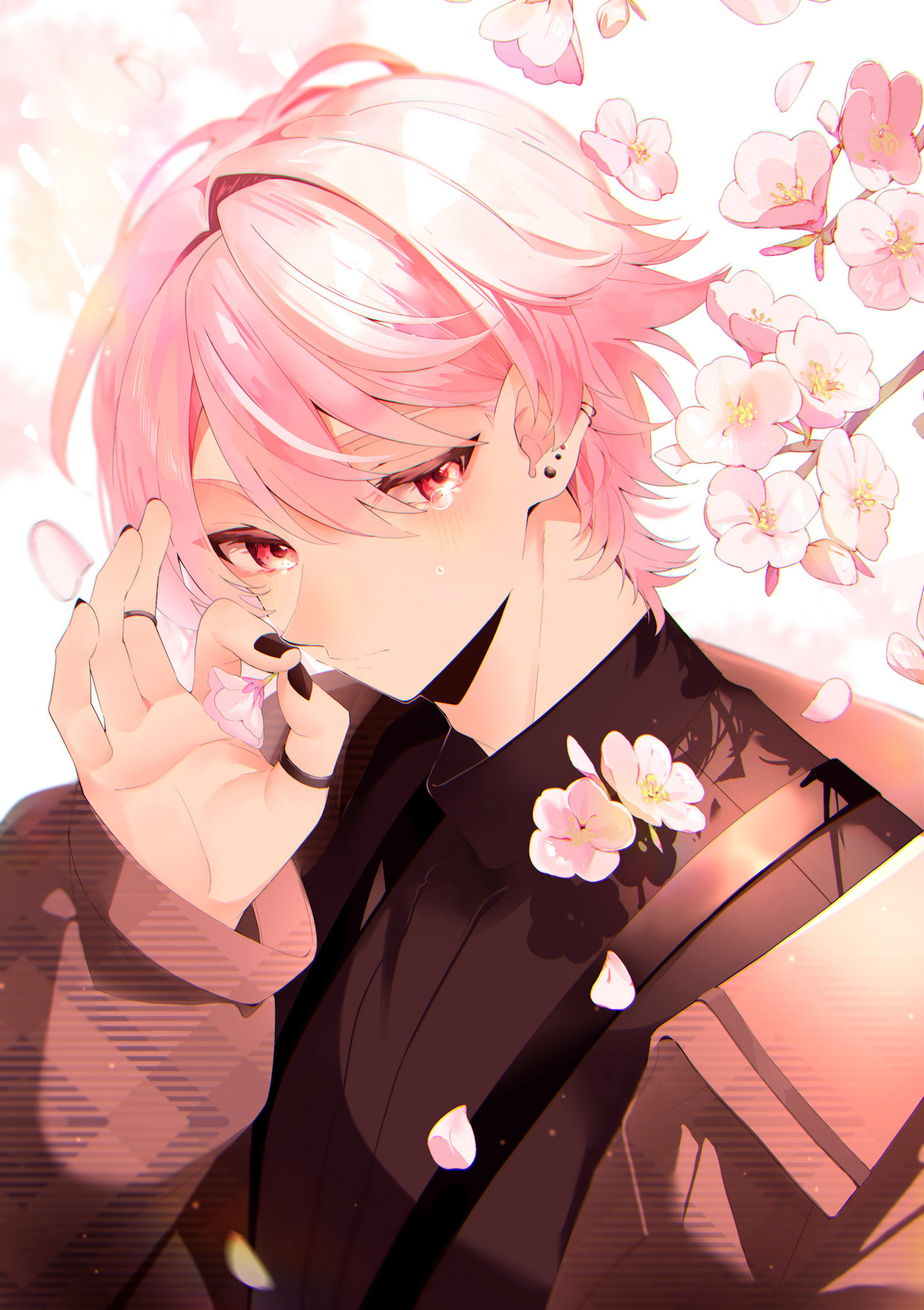 すんぴあんずの花