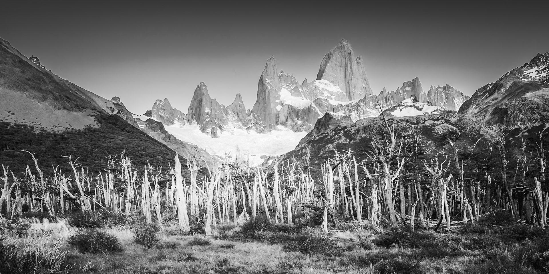 Fitz Roy - Forest of Remains (1:2)