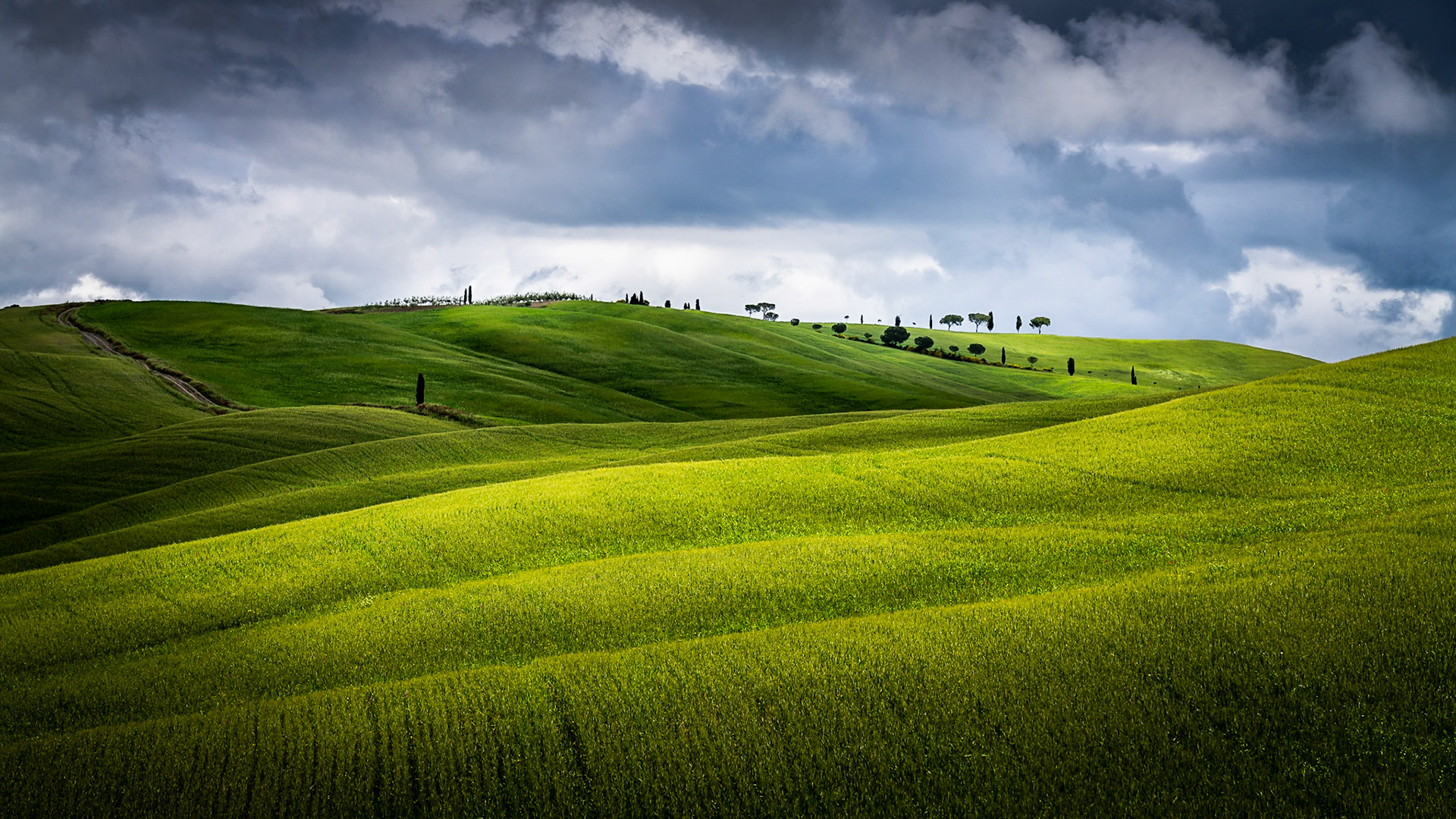 Tuscany - Rolling Hills II (16:9)
