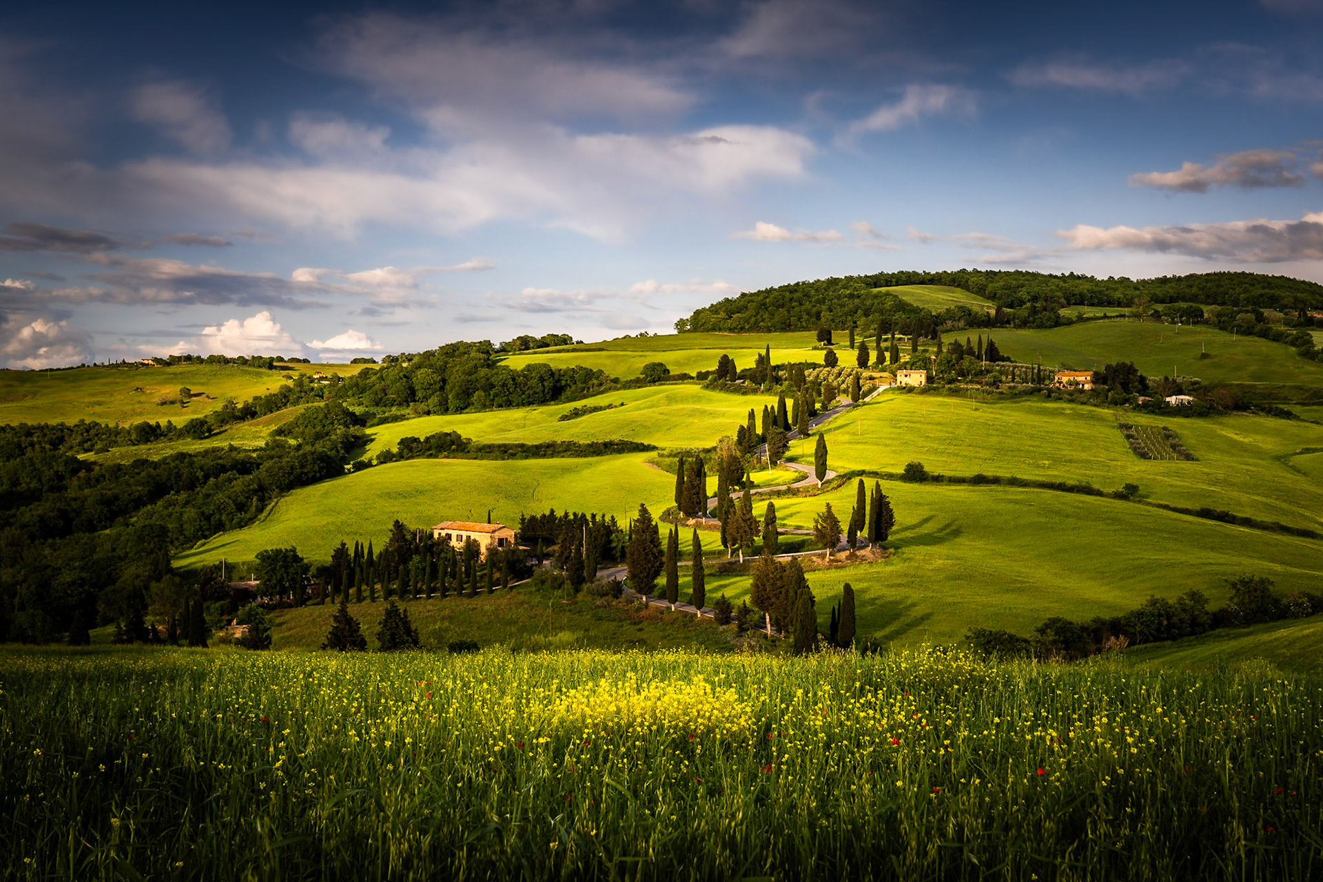 Tuscany - Path Up the Hill (3:2)