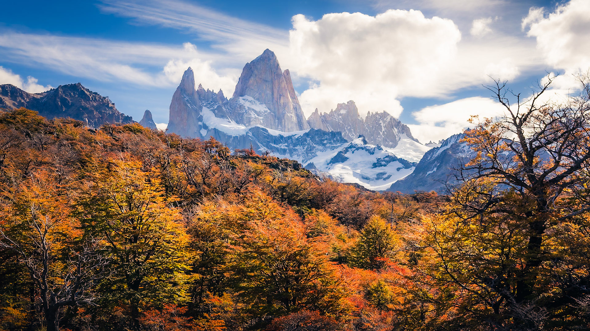 Fitz Roy - Ascending Canopy (9:16)