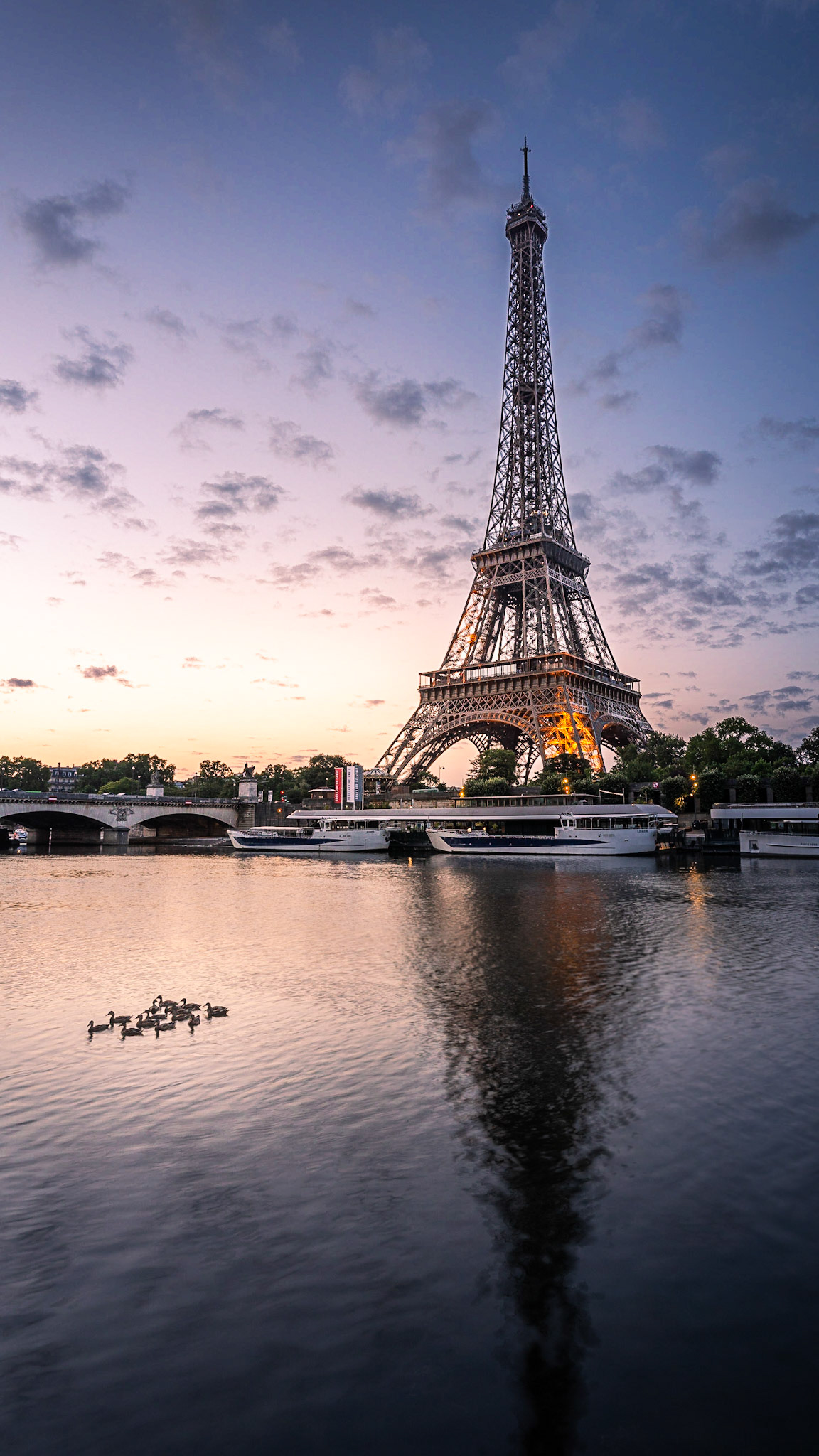 Paris - Ducklings and the Tower (16:9)